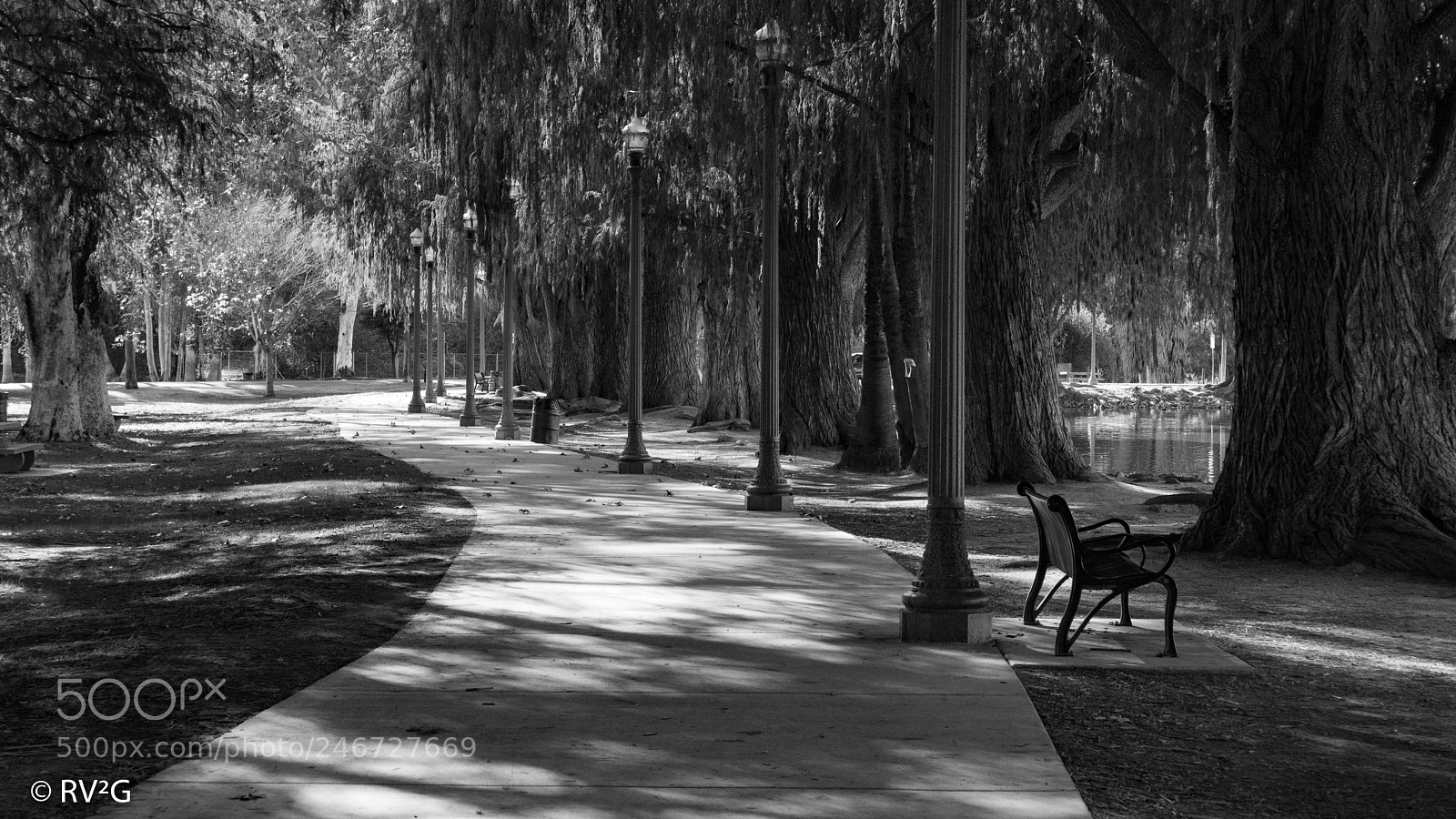 Sony SLT-A68 sample photo. Untitled photography