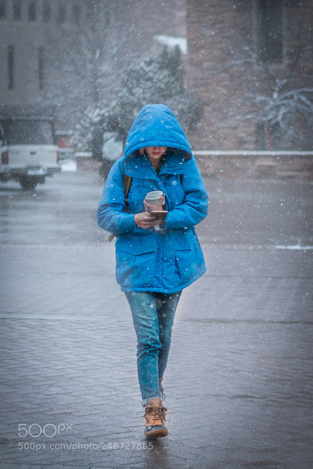 Nikon D800E sample photo. Flurry photography