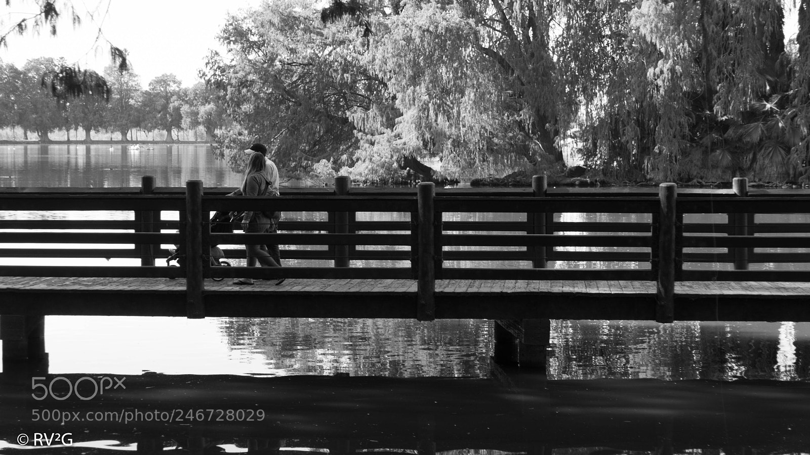 Sony SLT-A68 sample photo. Untitled photography