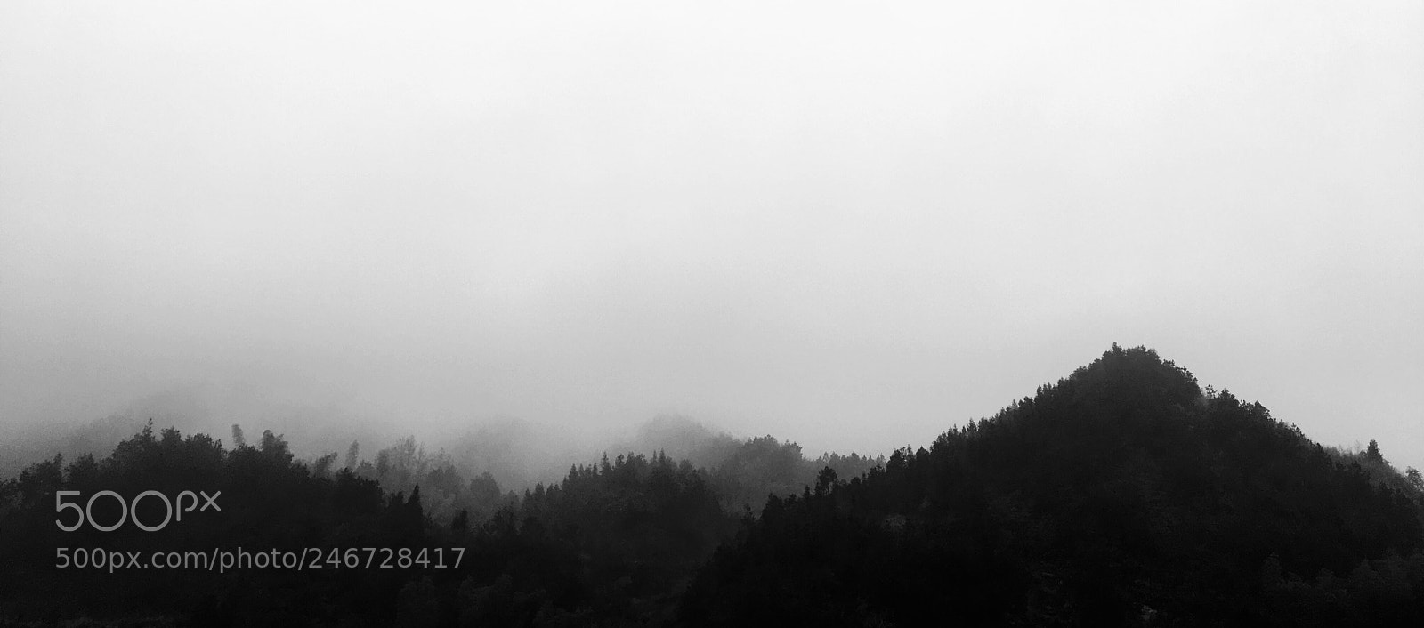 Apple iPhone 6s sample photo. Untitled photography