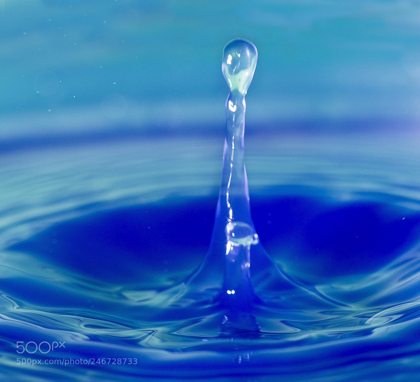 Canon EOS 600D (Rebel EOS T3i / EOS Kiss X5) sample photo. Water droplets photography