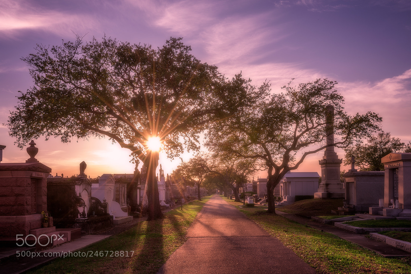 Nikon D810 sample photo. Cemetery shadows photography