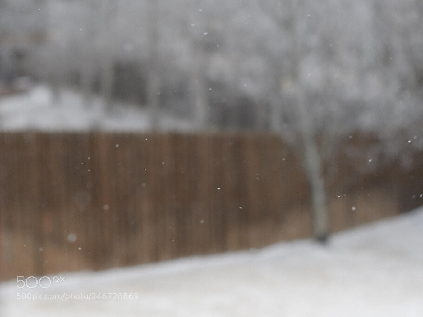 Nikon D7500 sample photo. Frozen flakes photography