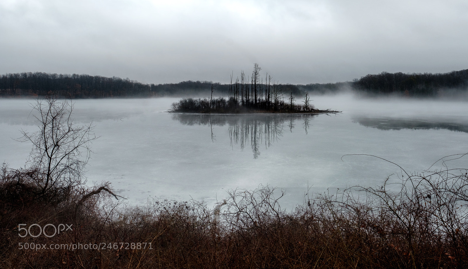 Fujifilm X-T2 sample photo. Fog island photography