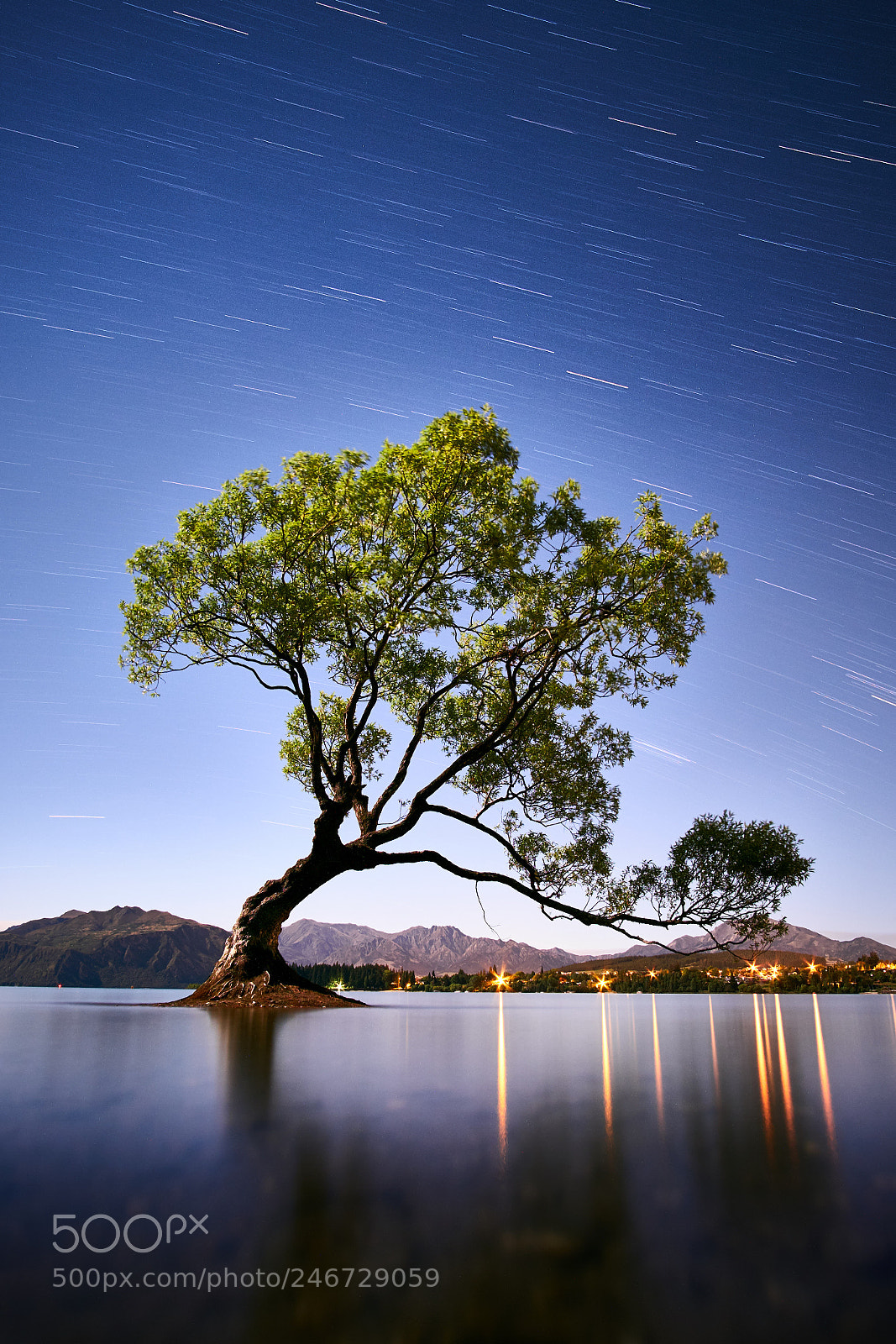 Fujifilm X-T2 sample photo. Wanaka tree by starlight photography