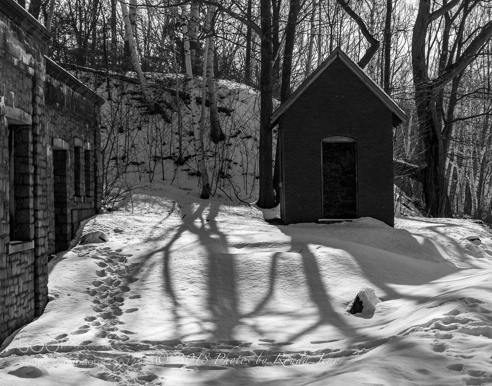 Nikon D500 sample photo. Untitled photography
