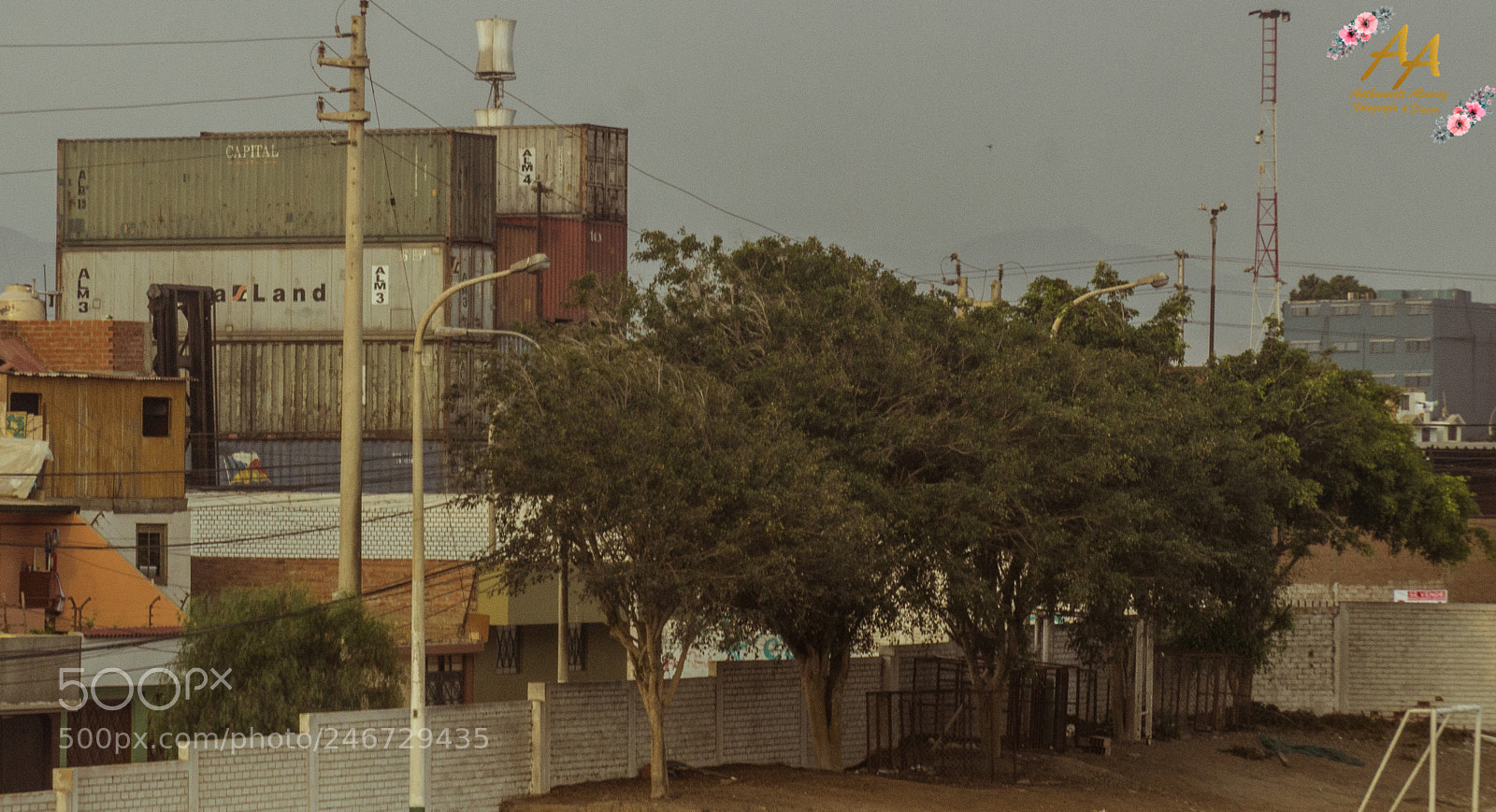 Canon EOS 600D (Rebel EOS T3i / EOS Kiss X5) sample photo. Los contenedores photography