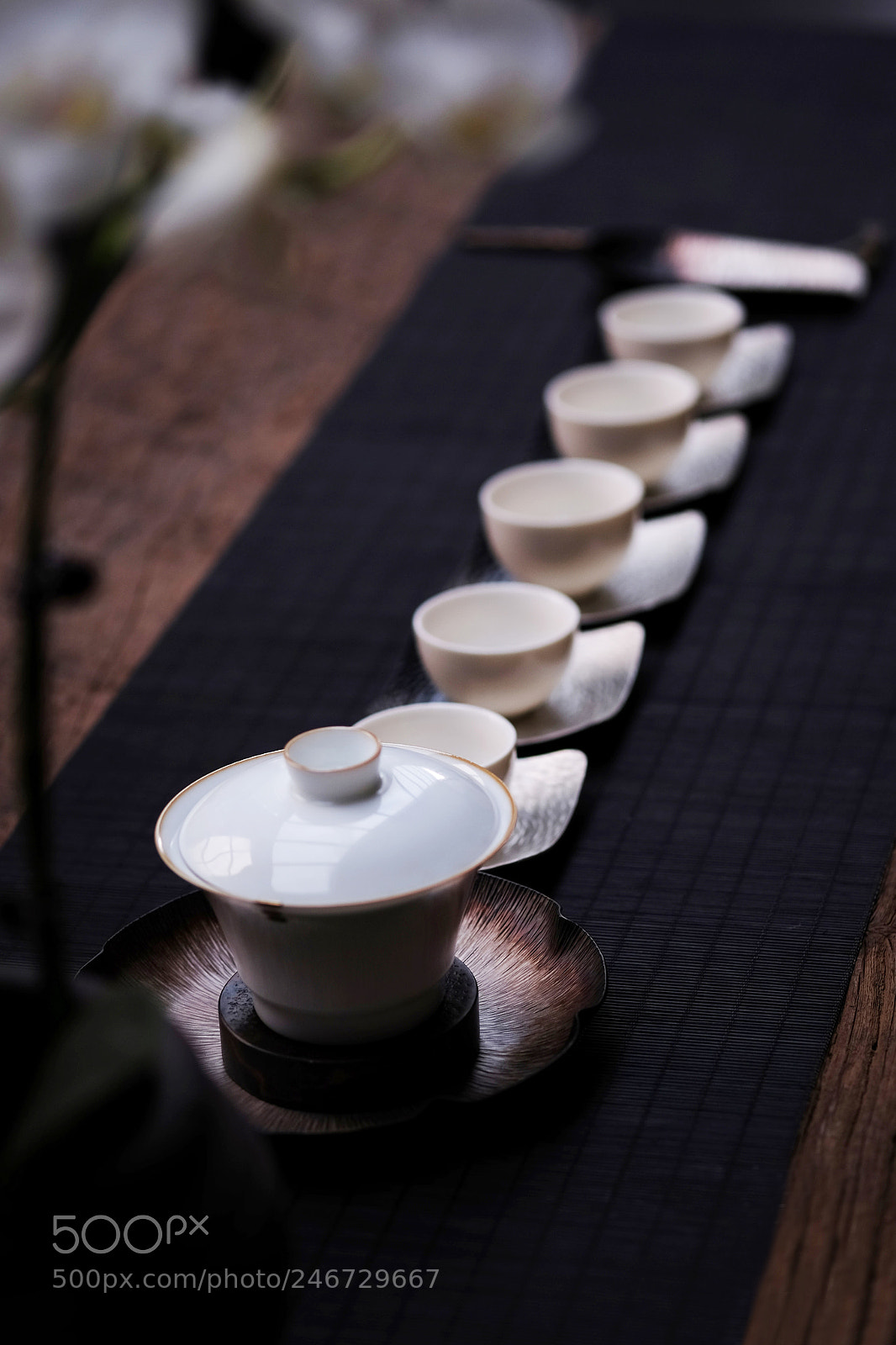 Fujifilm X-T1 sample photo. Cold blossom photography