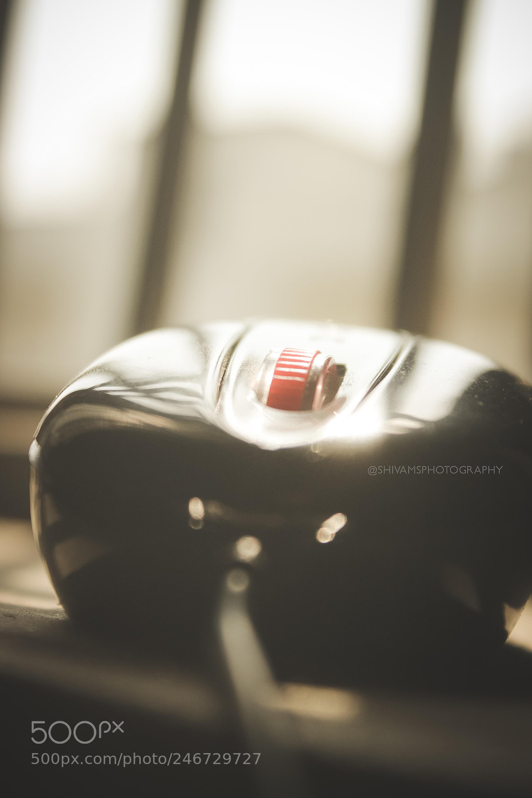 Canon EOS 600D (Rebel EOS T3i / EOS Kiss X5) sample photo. Mouse photography