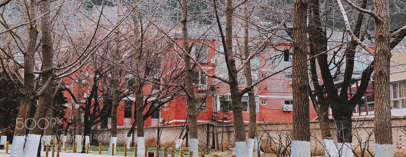 Canon PowerShot G1 X Mark II sample photo. Winter in beijing photography
