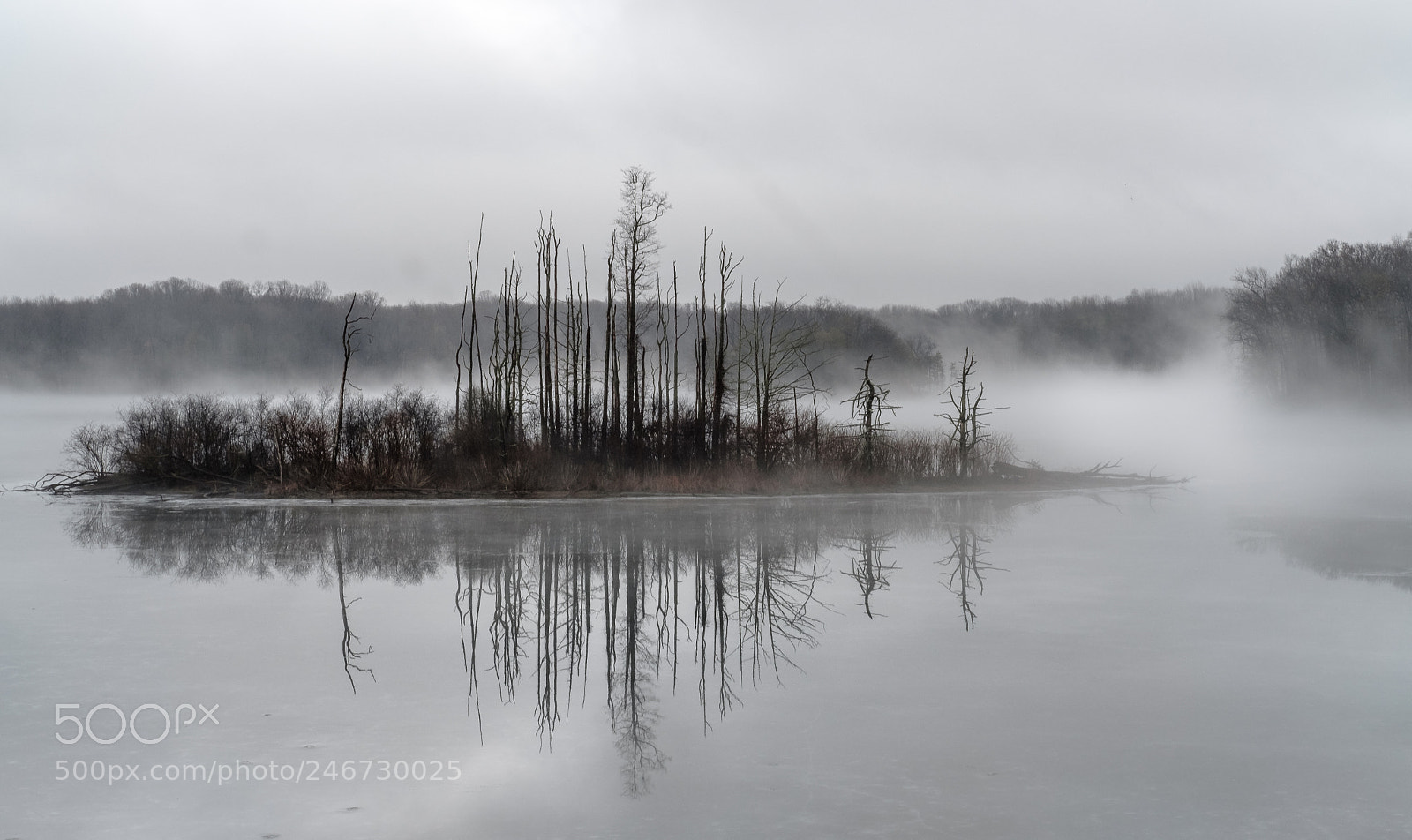 Fujifilm X-T2 sample photo. Fog island photography