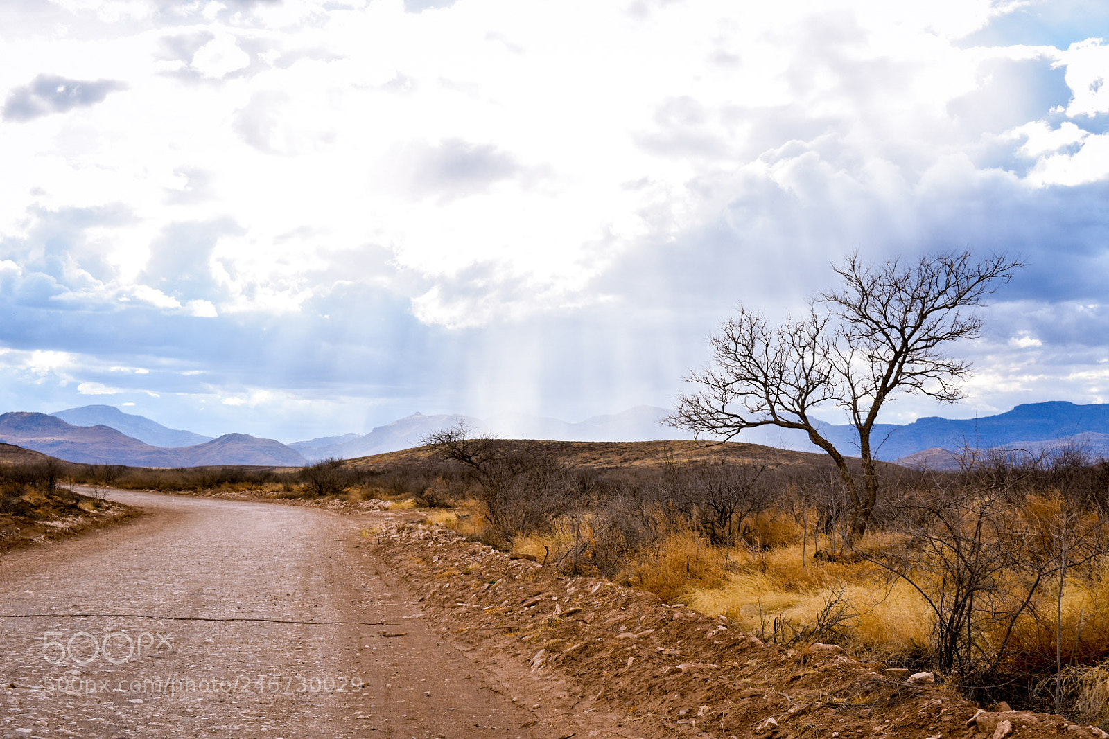 Nikon D3400 sample photo. Heavens opening photography