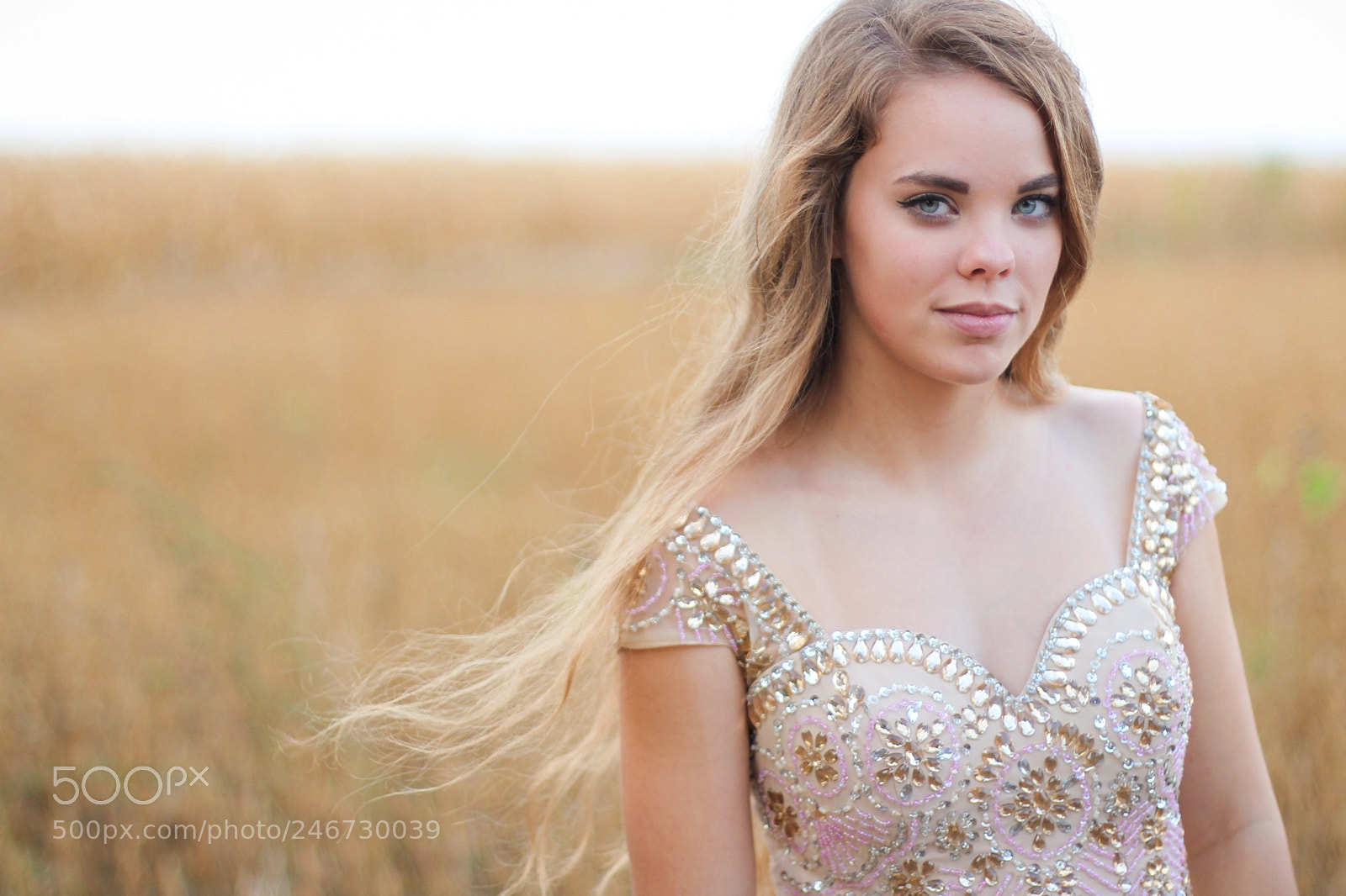 Canon EOS 700D (EOS Rebel T5i / EOS Kiss X7i) sample photo. Fields of gold photography