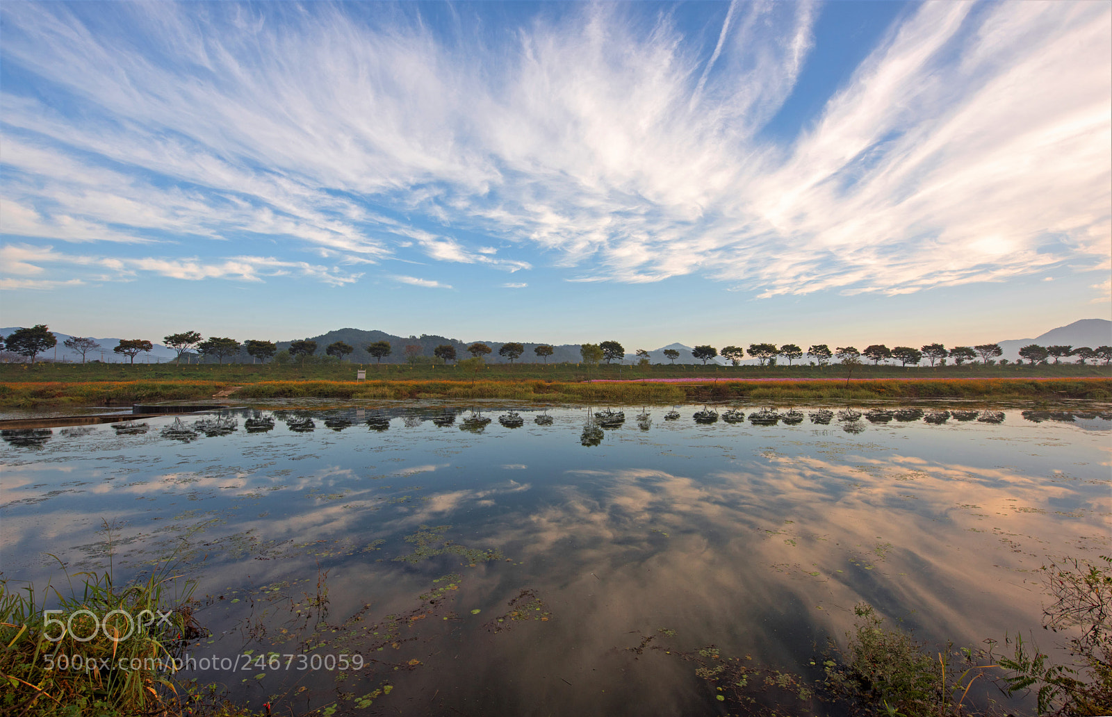 Nikon D810 sample photo. Morning at river photography