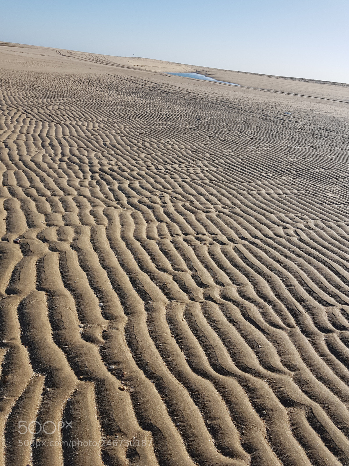 Samsung Galaxy S8+ sample photo. Sandwaves photography