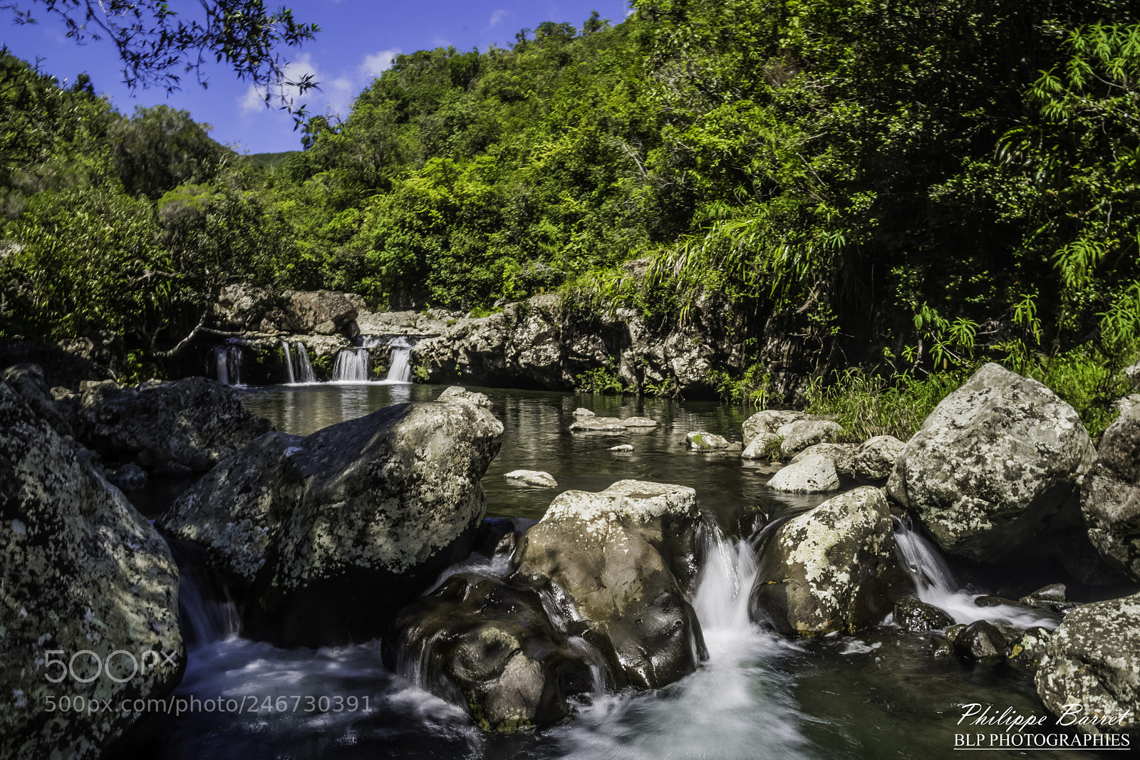 Nikon D7200 sample photo. Bras laurent photography