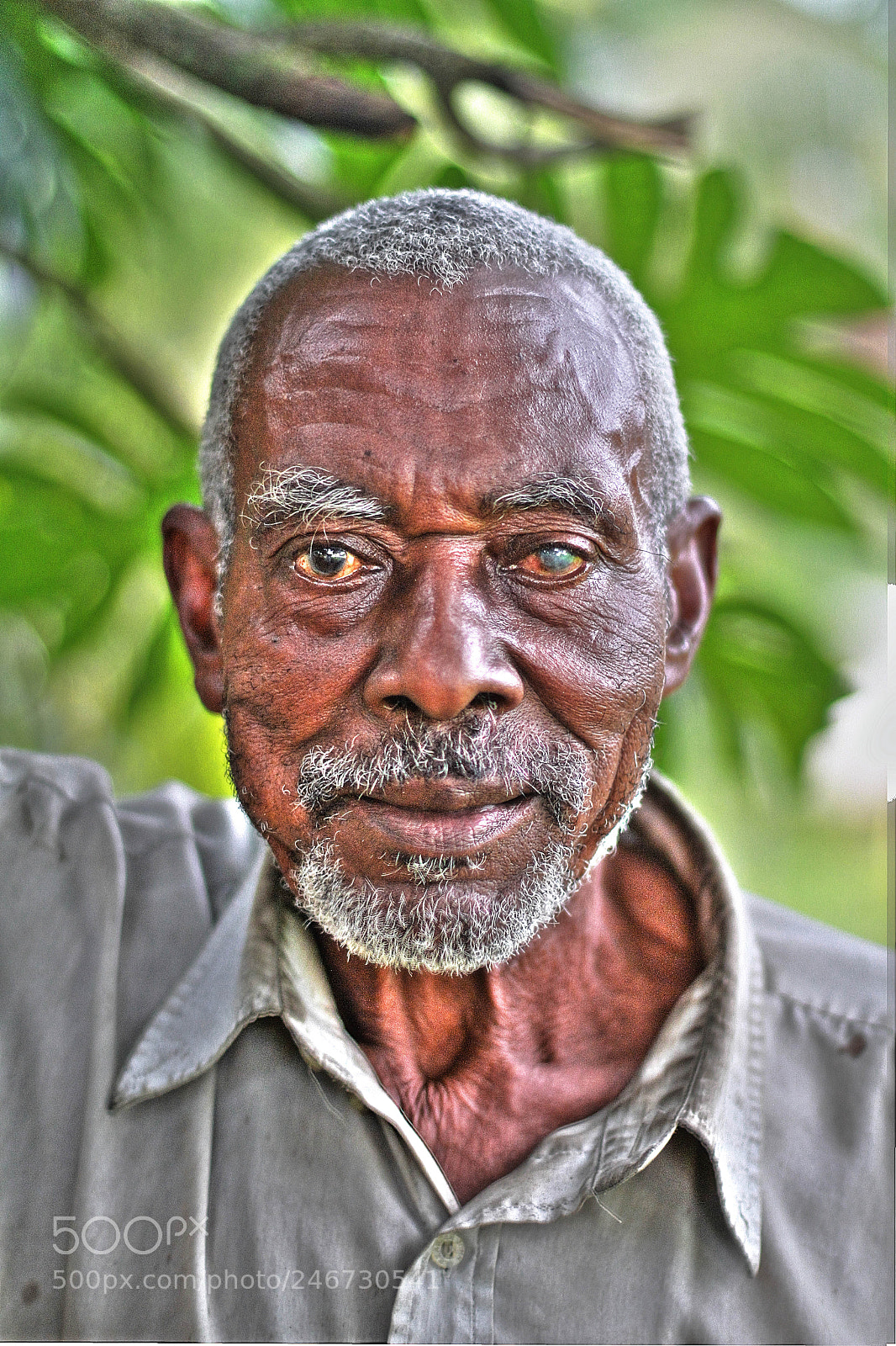 Canon EOS 7D sample photo. Untitled photography