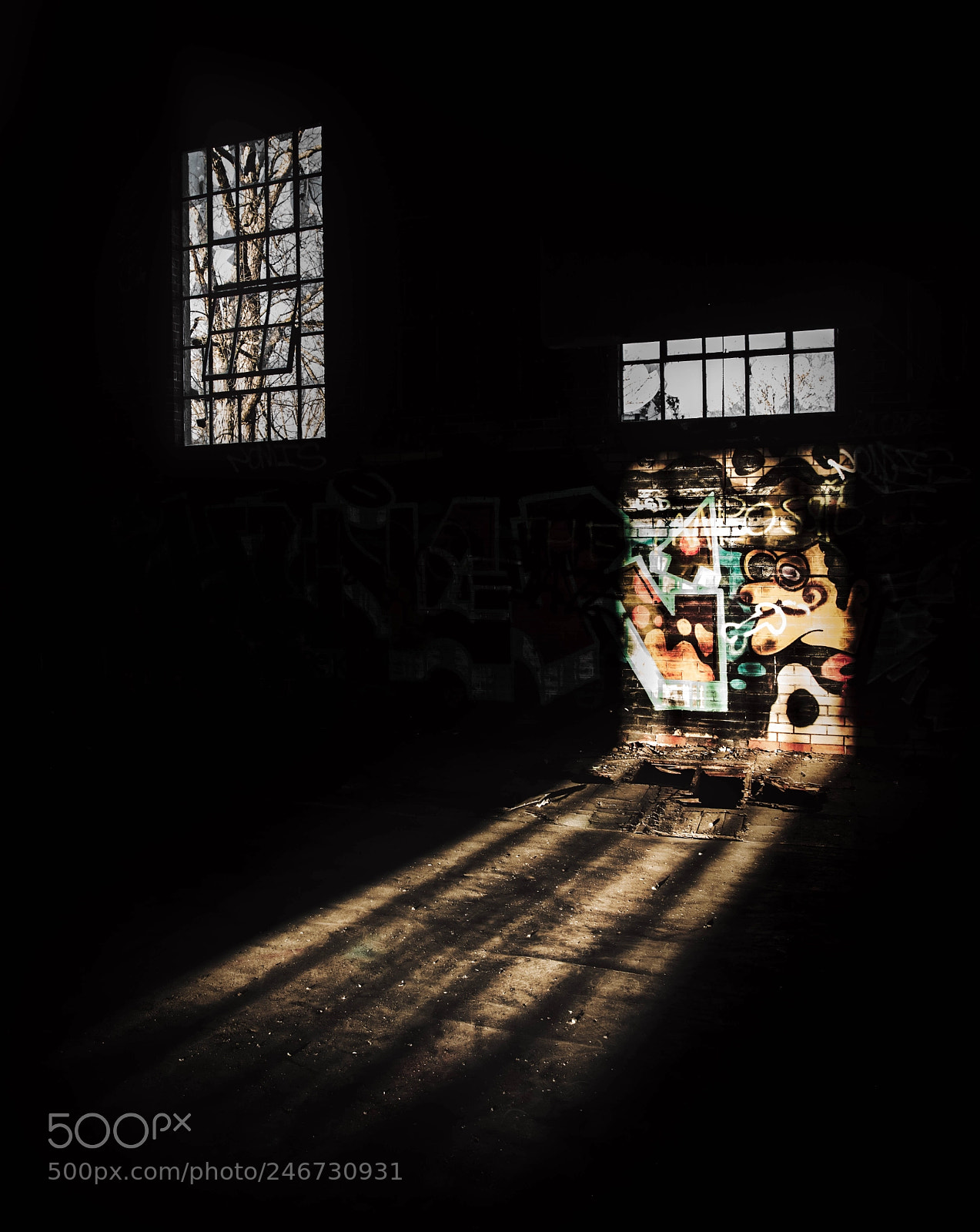 Nikon D810 sample photo. Gymnasium photography