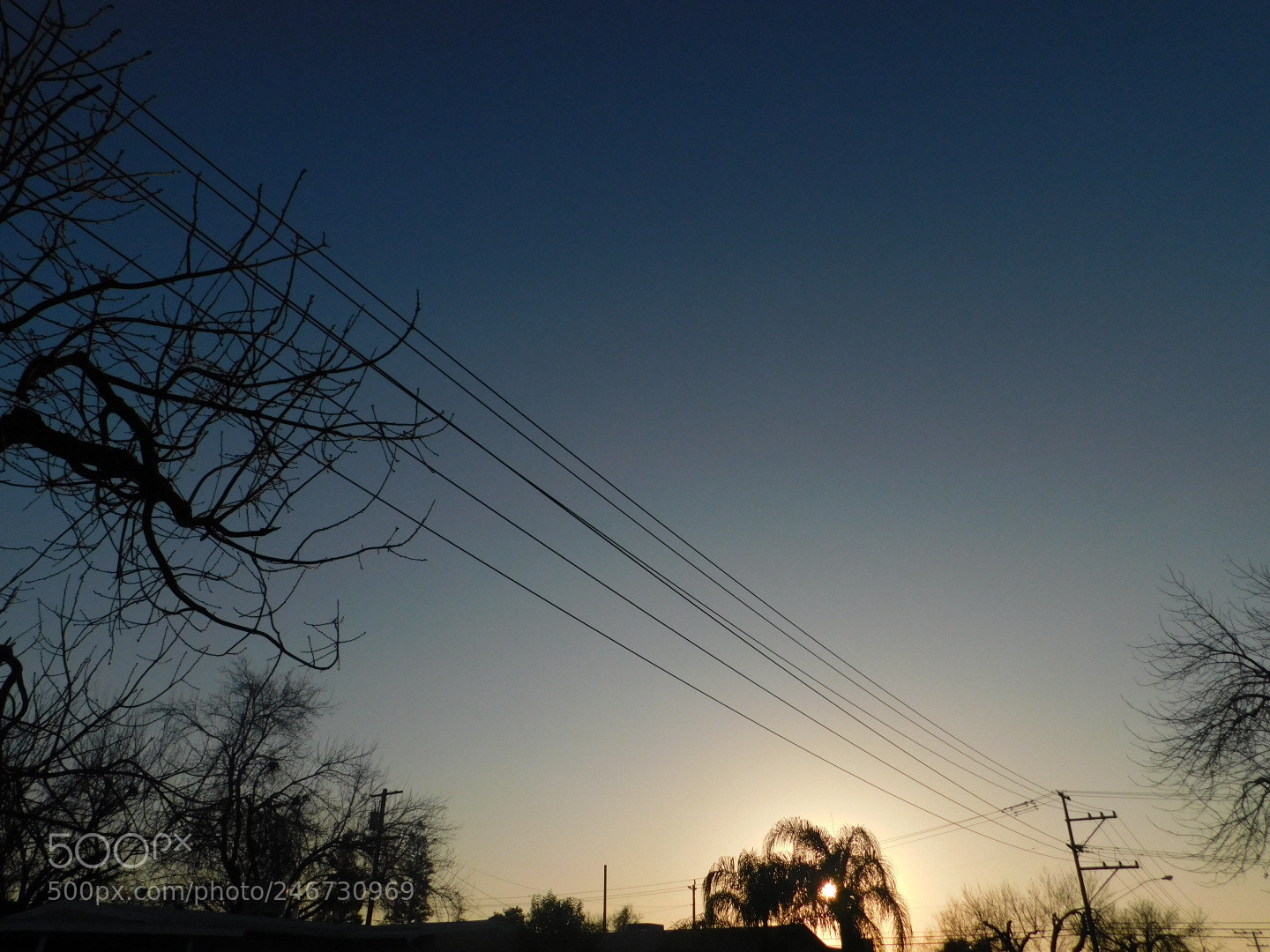Nikon Coolpix B500 sample photo. Chill vibes on a photography