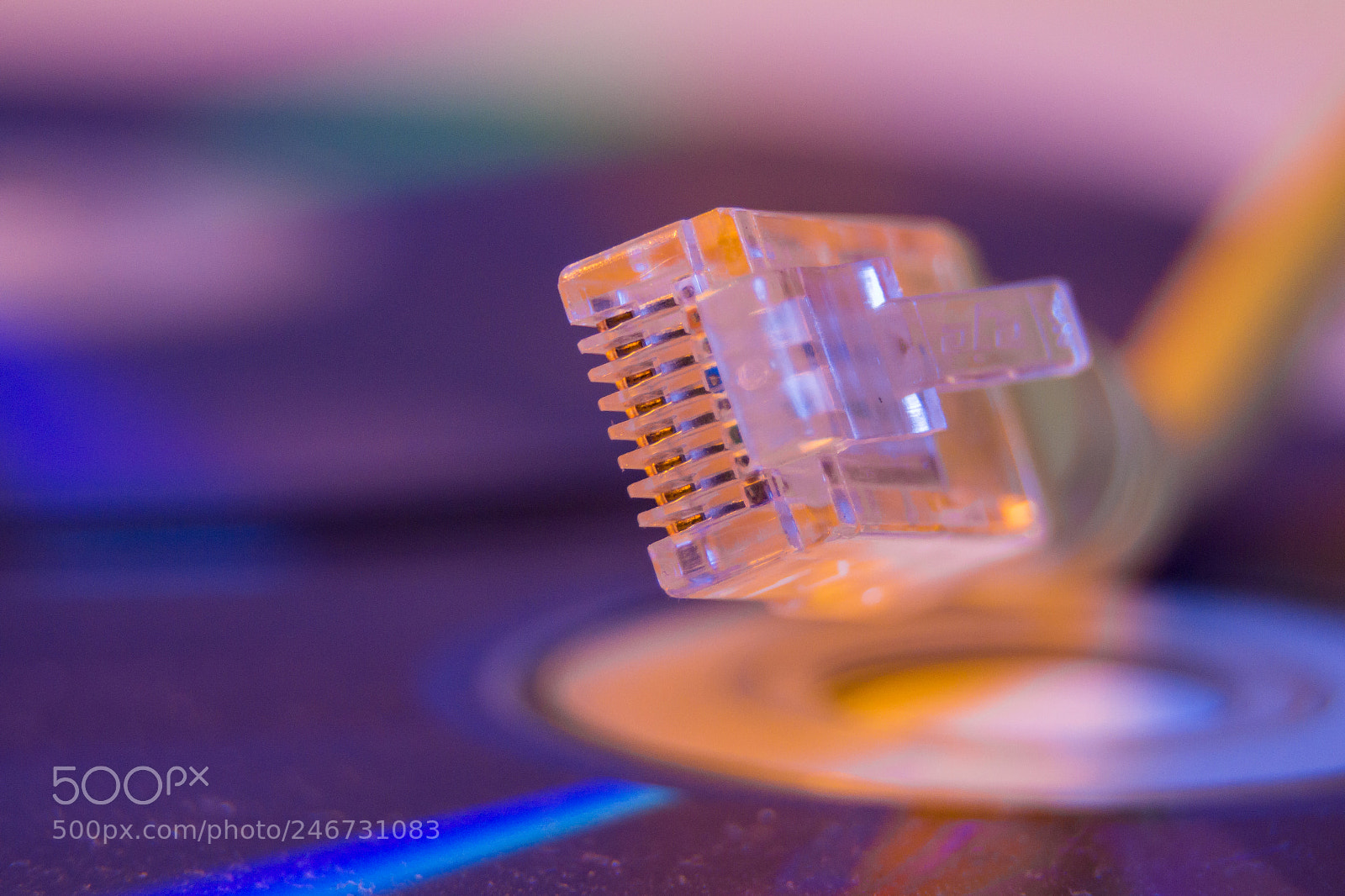 Canon EOS 650D (EOS Rebel T4i / EOS Kiss X6i) sample photo. Closeup of ethernet cable photography