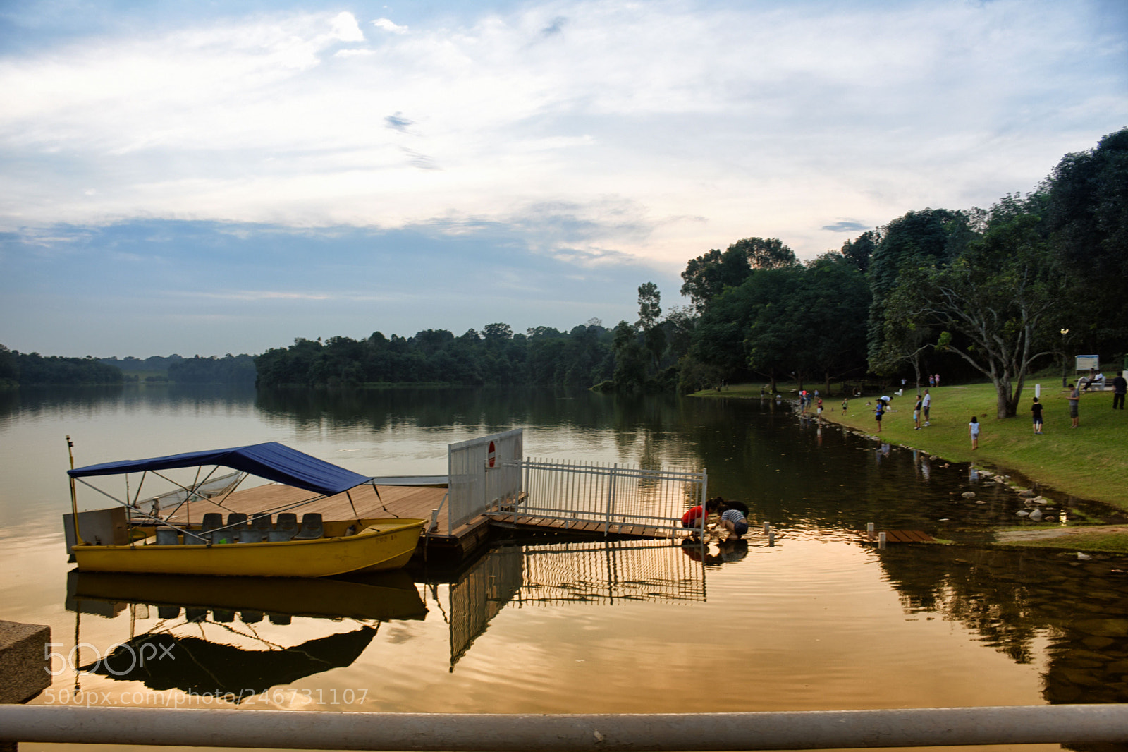 Nikon D7200 sample photo. Lower peirce reservoir, singapore photography