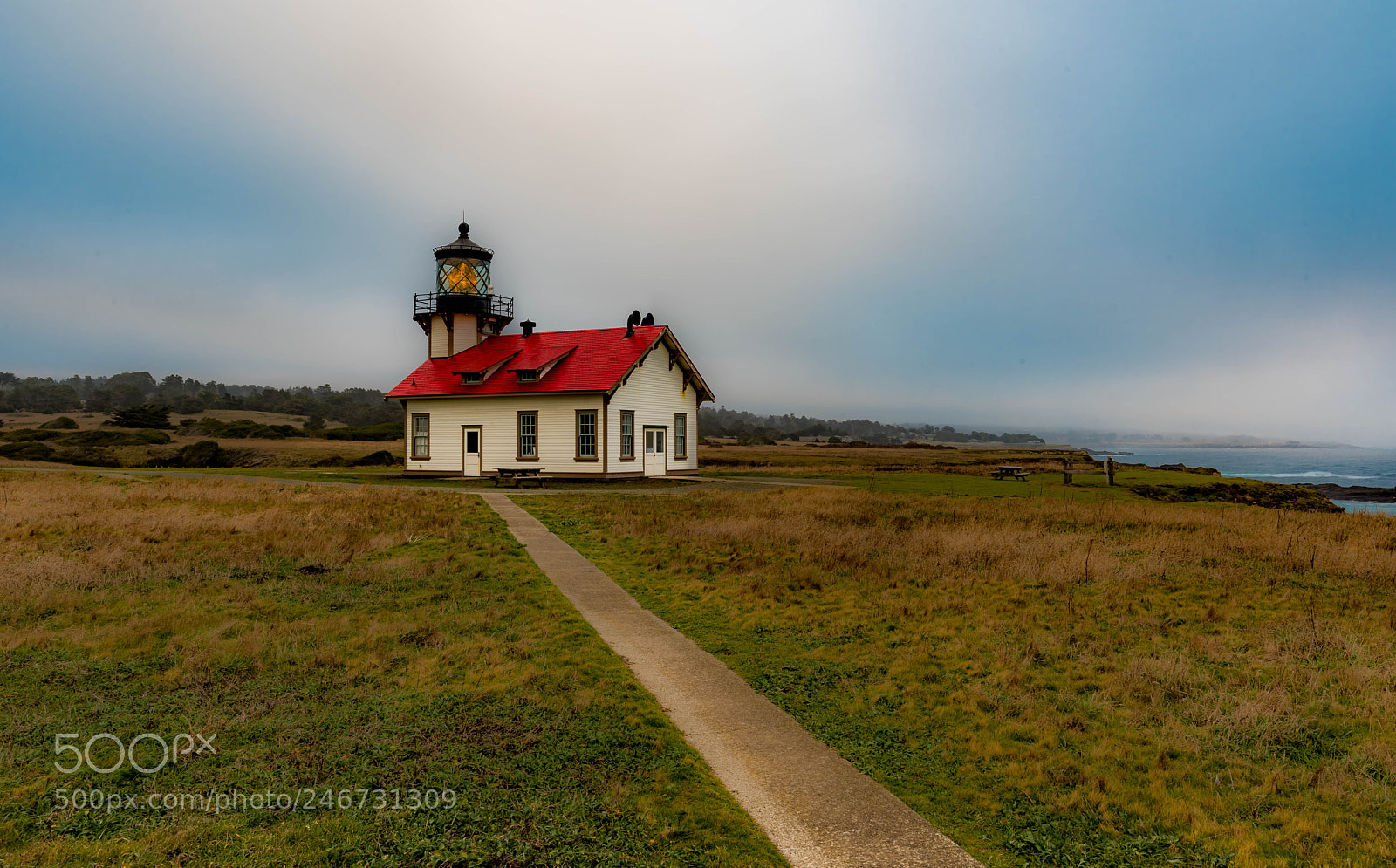 Nikon D810 sample photo. Cabrillo photography