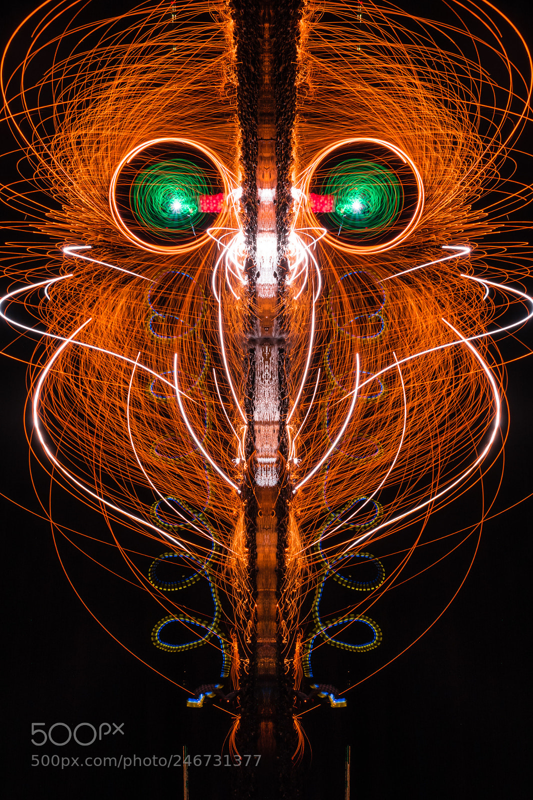 Nikon D7100 sample photo. Whiskers photography
