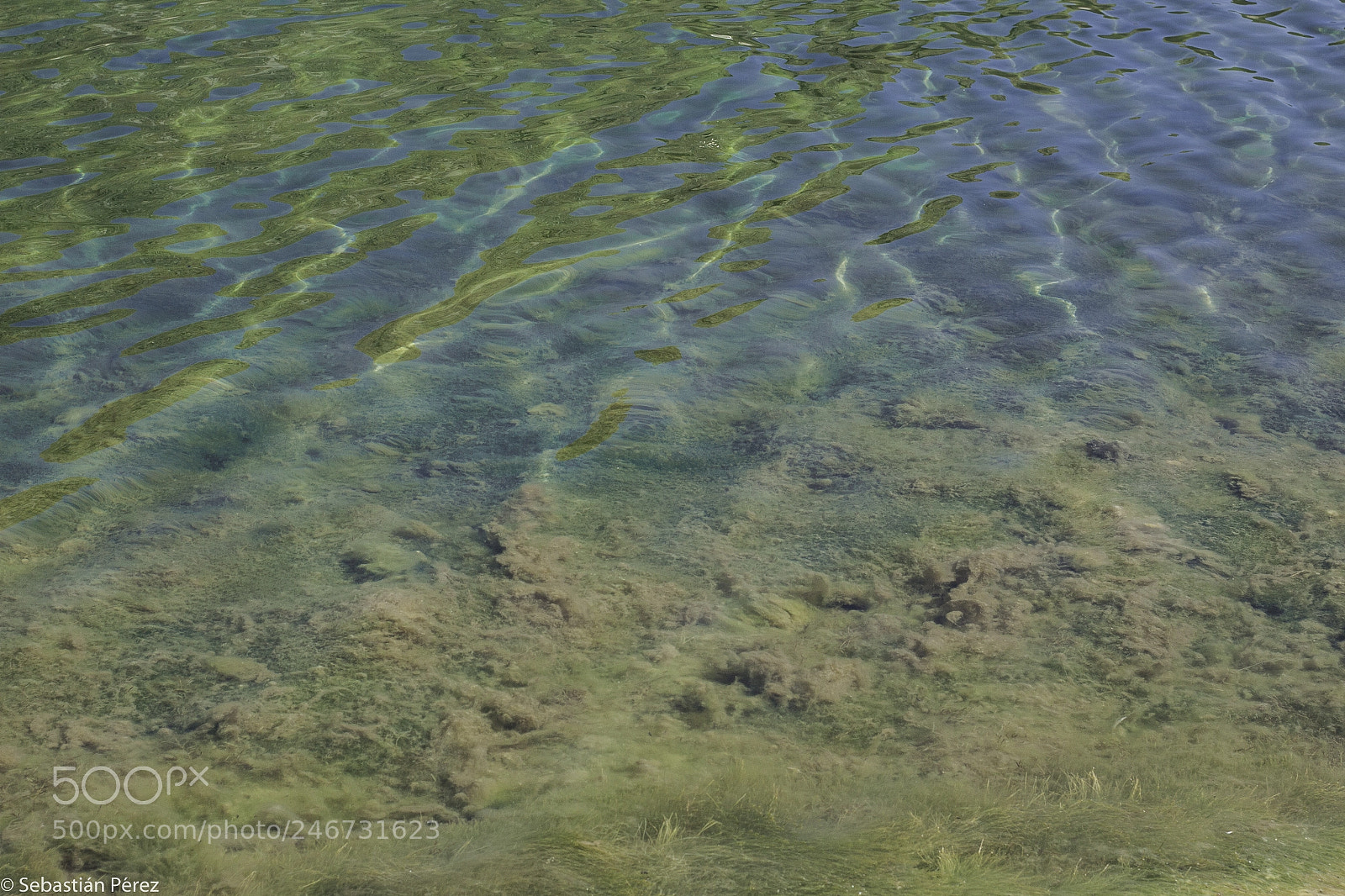 Canon EOS 50D sample photo. Watercolor photography