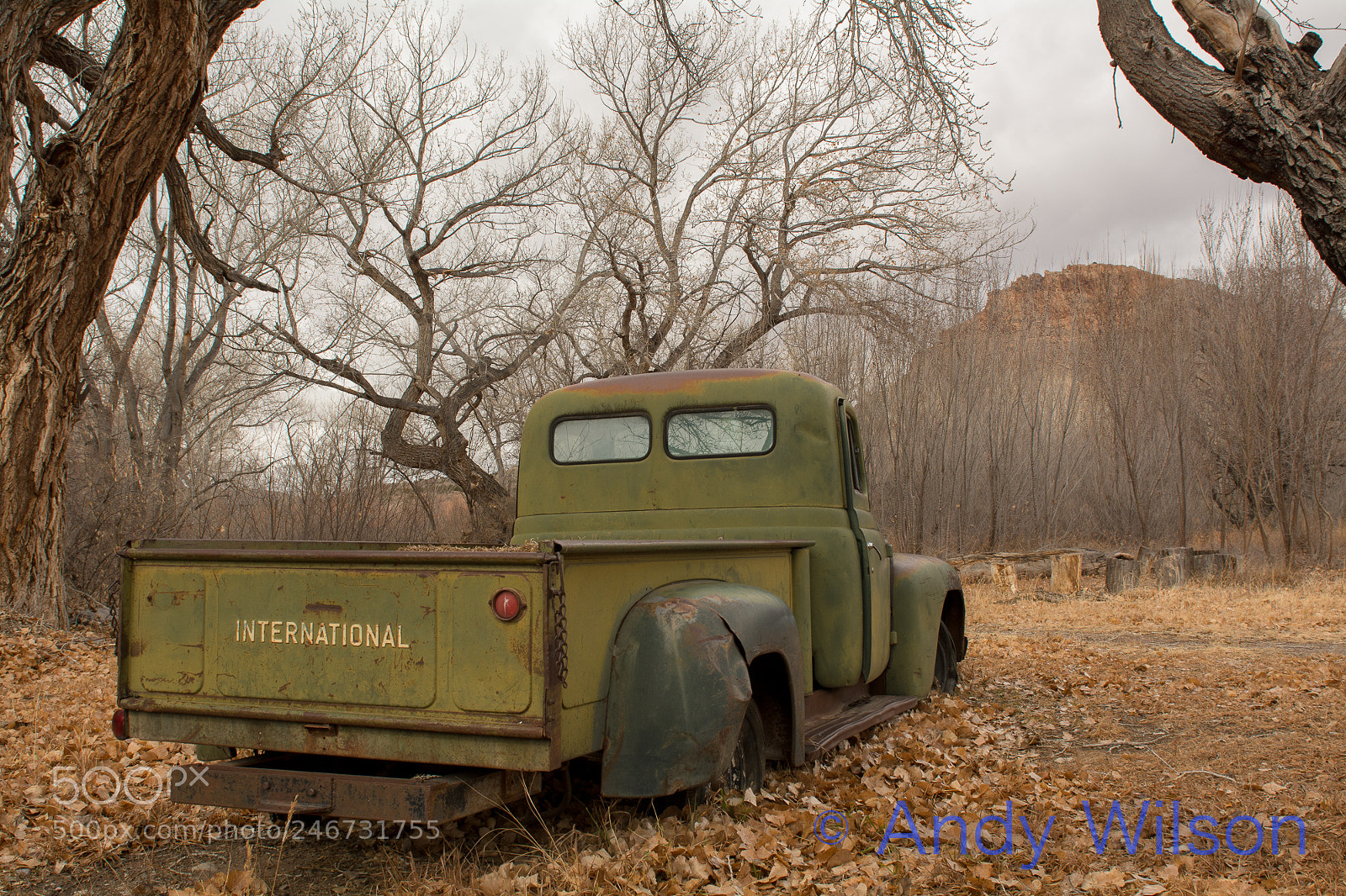 Nikon D7100 sample photo. Rustography photography