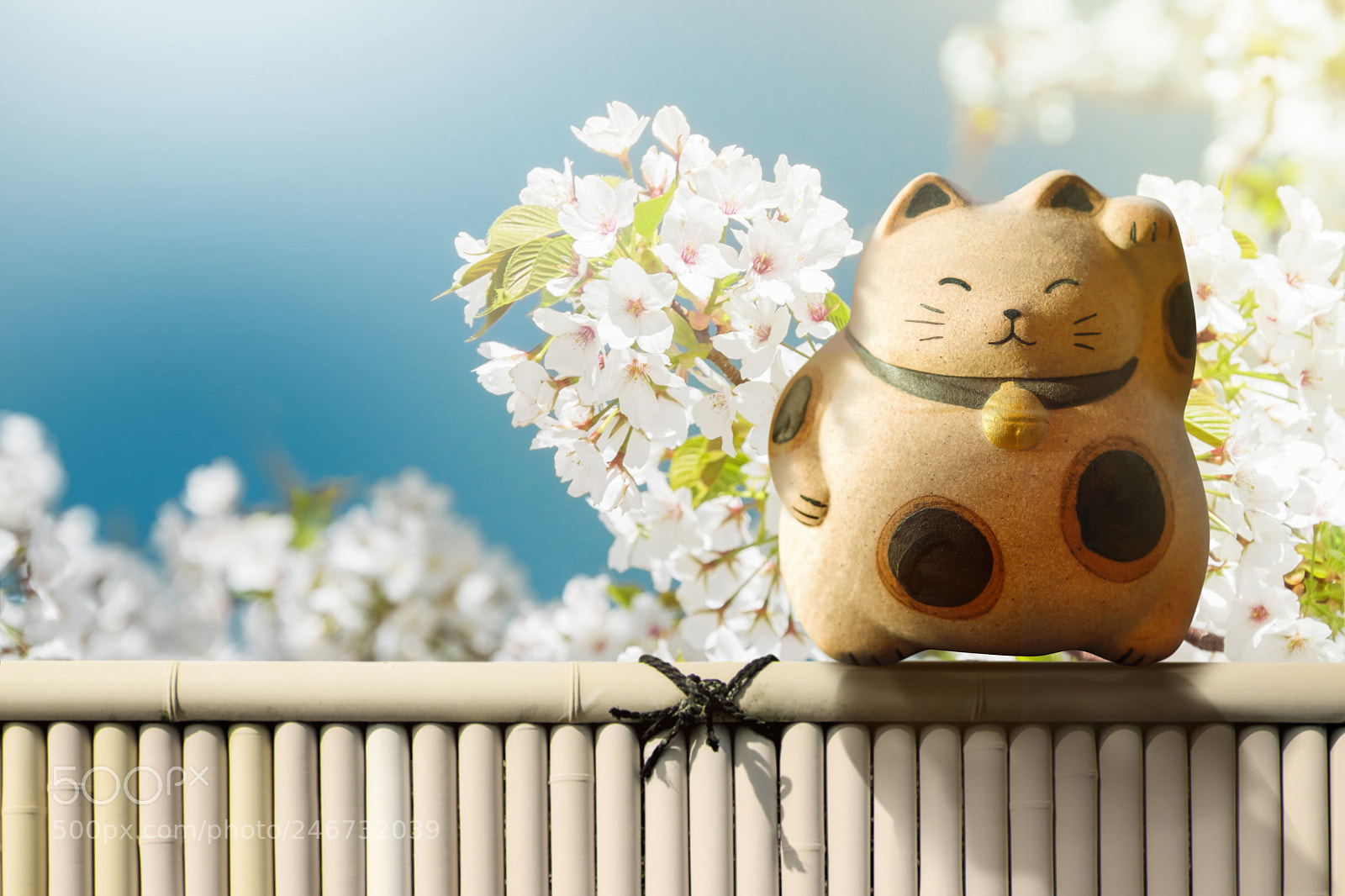Nikon D7200 sample photo. Japan maneki neko or photography