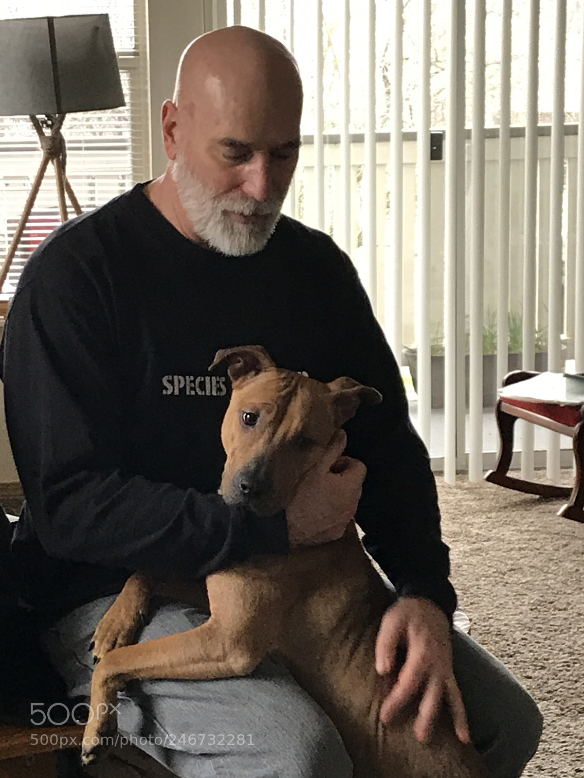 Apple iPhone 7 sample photo. Rescue pup finds her photography