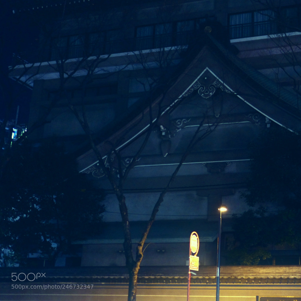 Fujifilm X-T2 sample photo. Untitled photography