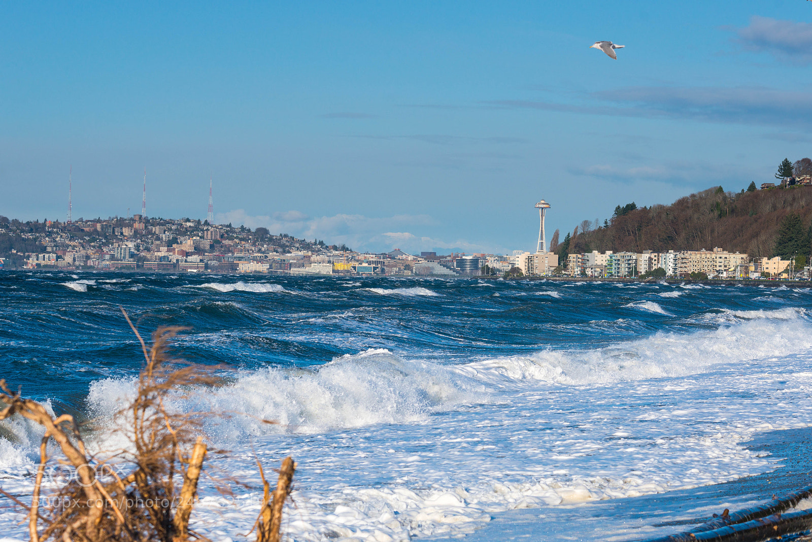 Nikon D800 sample photo. A (of ) photography