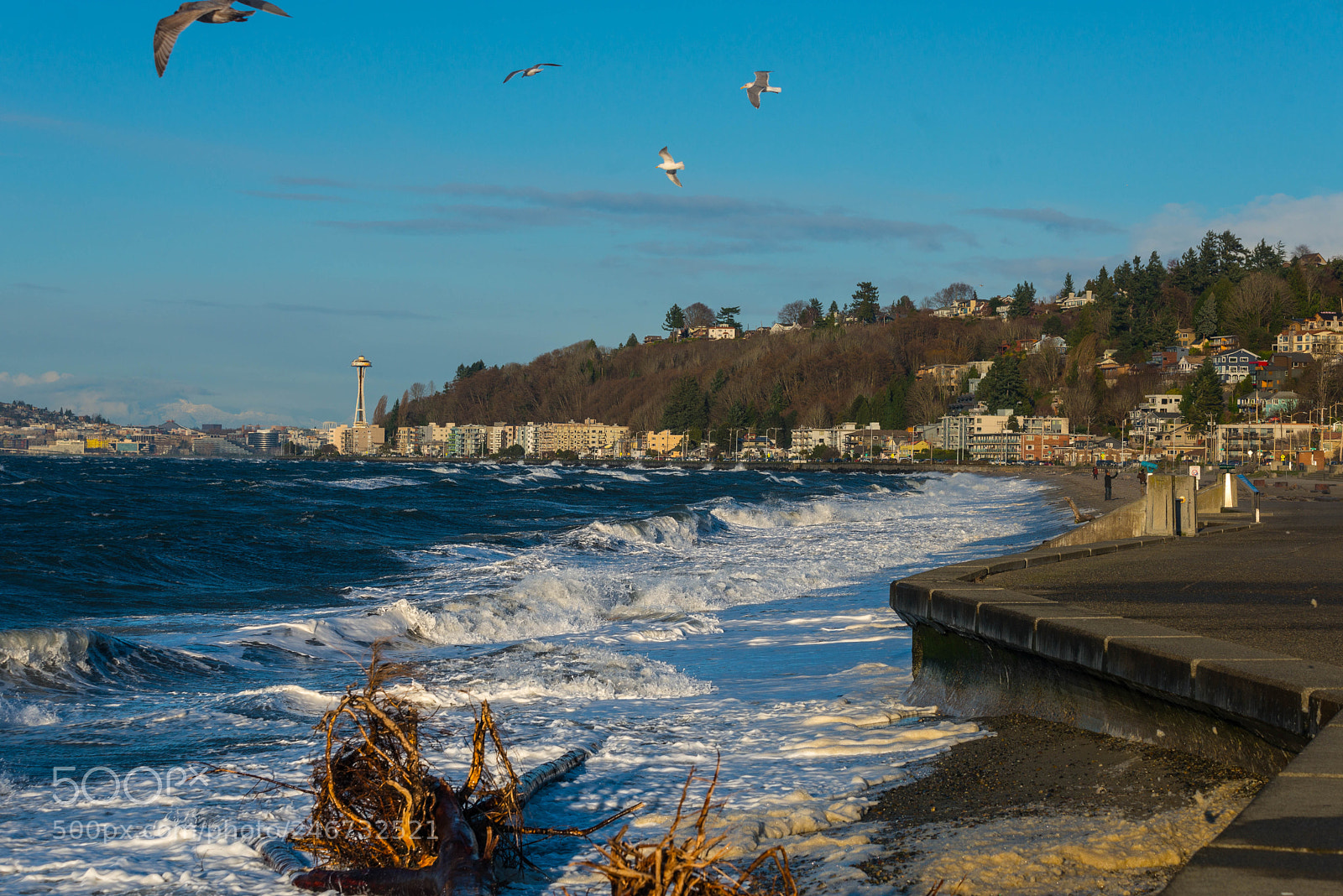 Nikon D800 sample photo. A (of ) photography