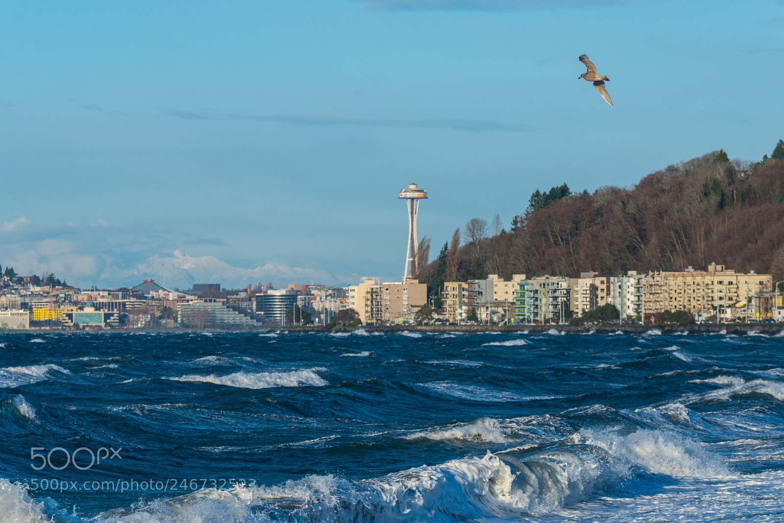 Nikon D800 sample photo. A (of ) photography