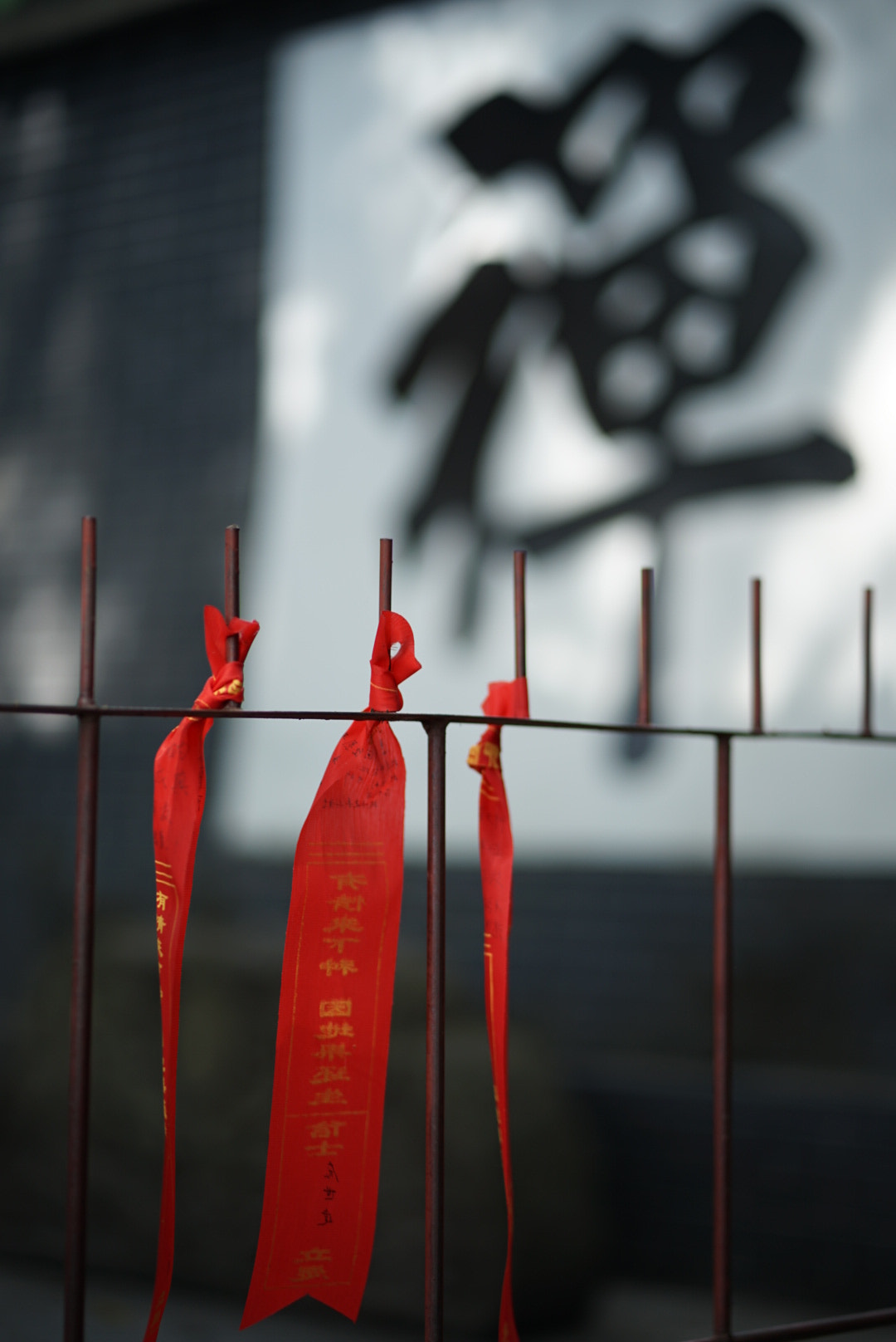 ZEISS Batis 85mm F1.8 sample photo