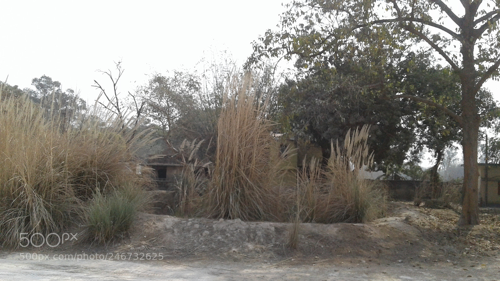 Samsung Galaxy J2 sample photo. Untitled photography