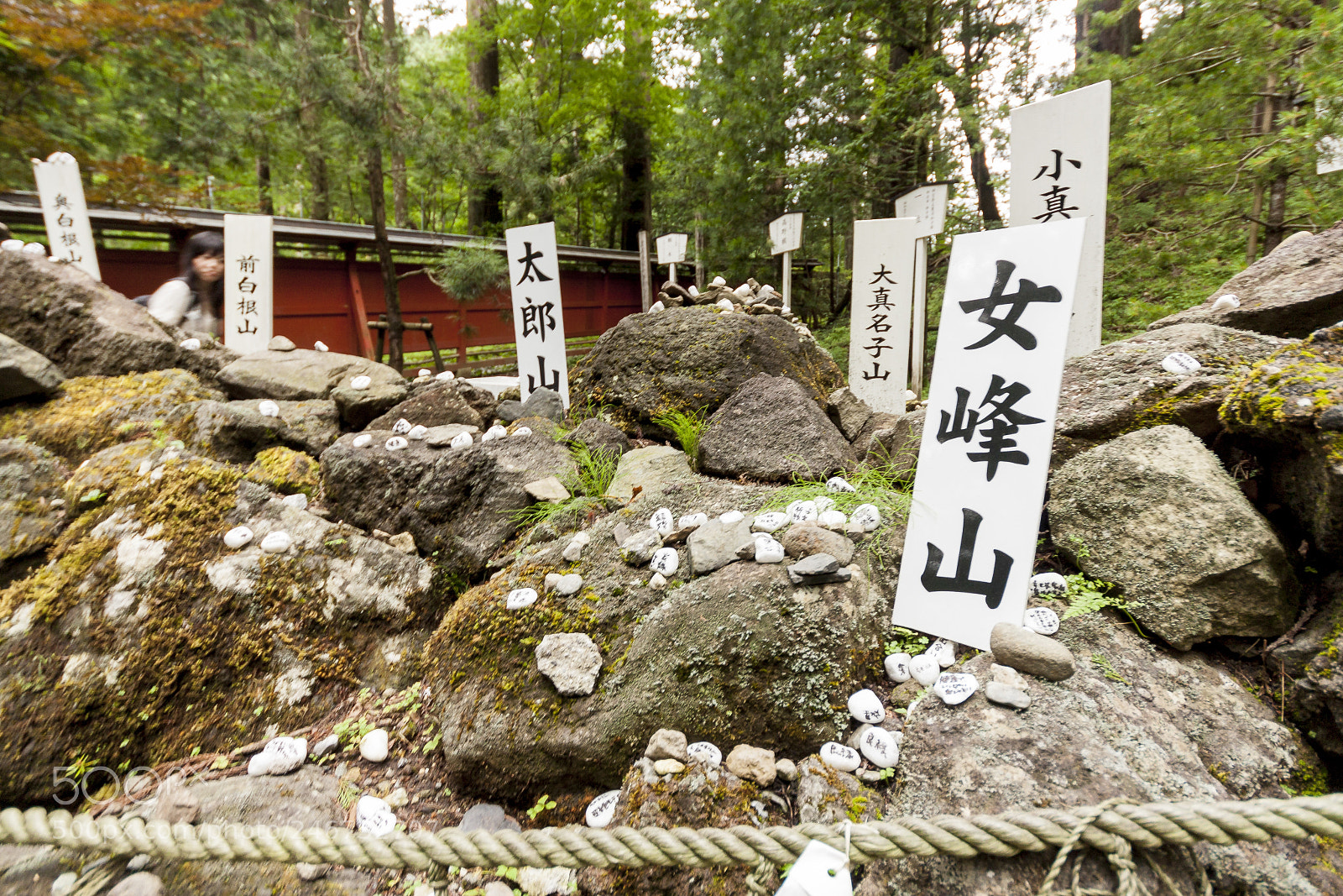 Canon EOS 450D (EOS Rebel XSi / EOS Kiss X2) sample photo. Nikko tōshō-gū photography