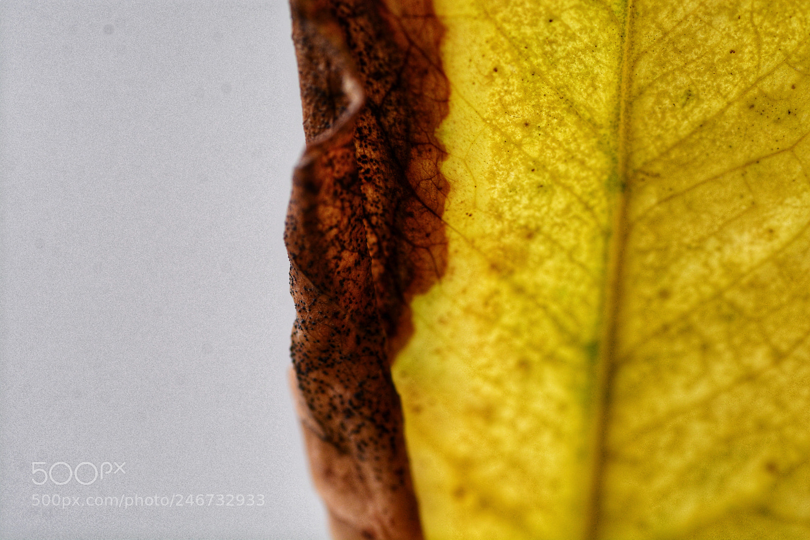 Nikon D7100 sample photo. Untitled photography
