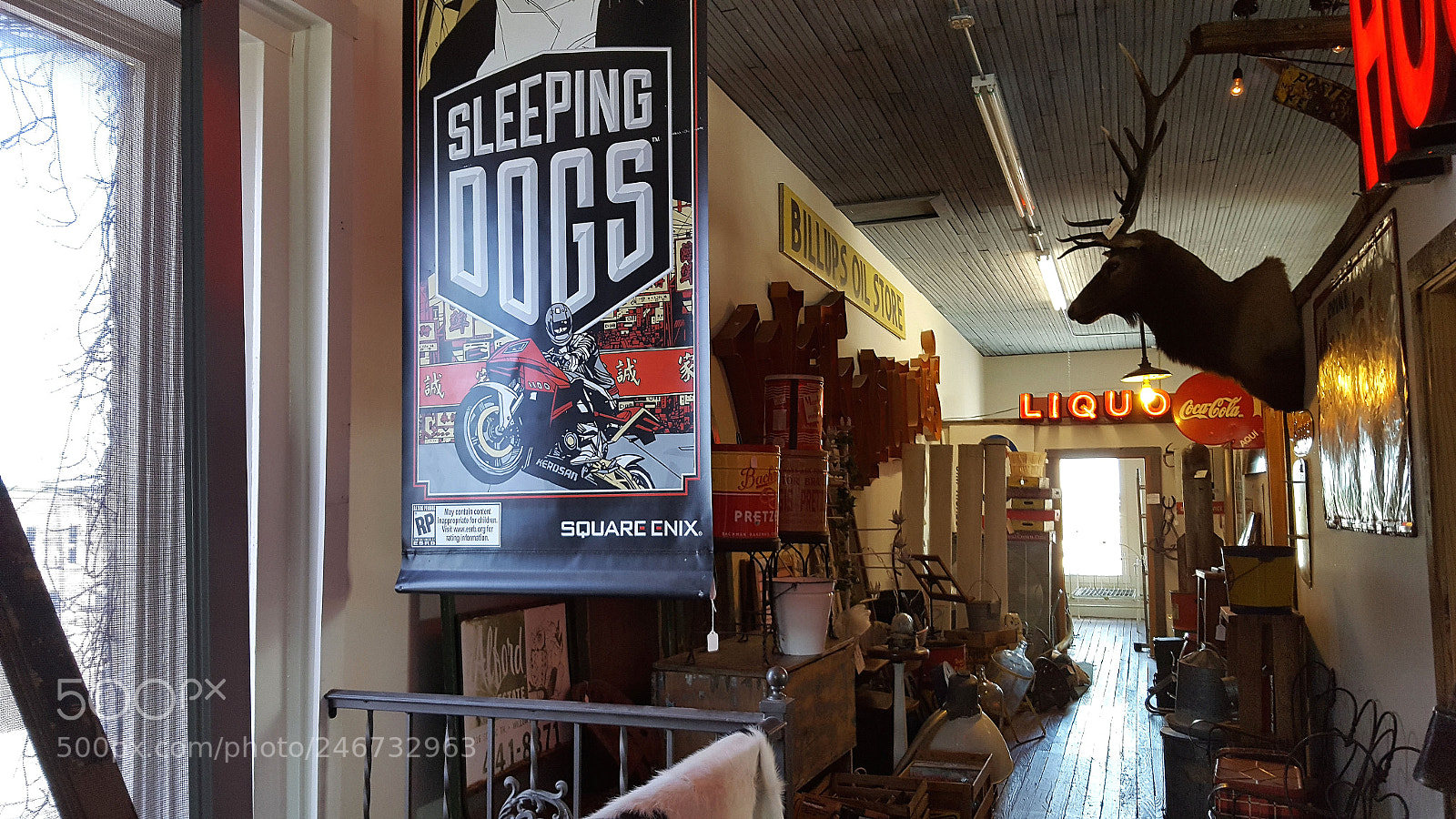Samsung Galaxy S6 sample photo. Sleeping dogs photography