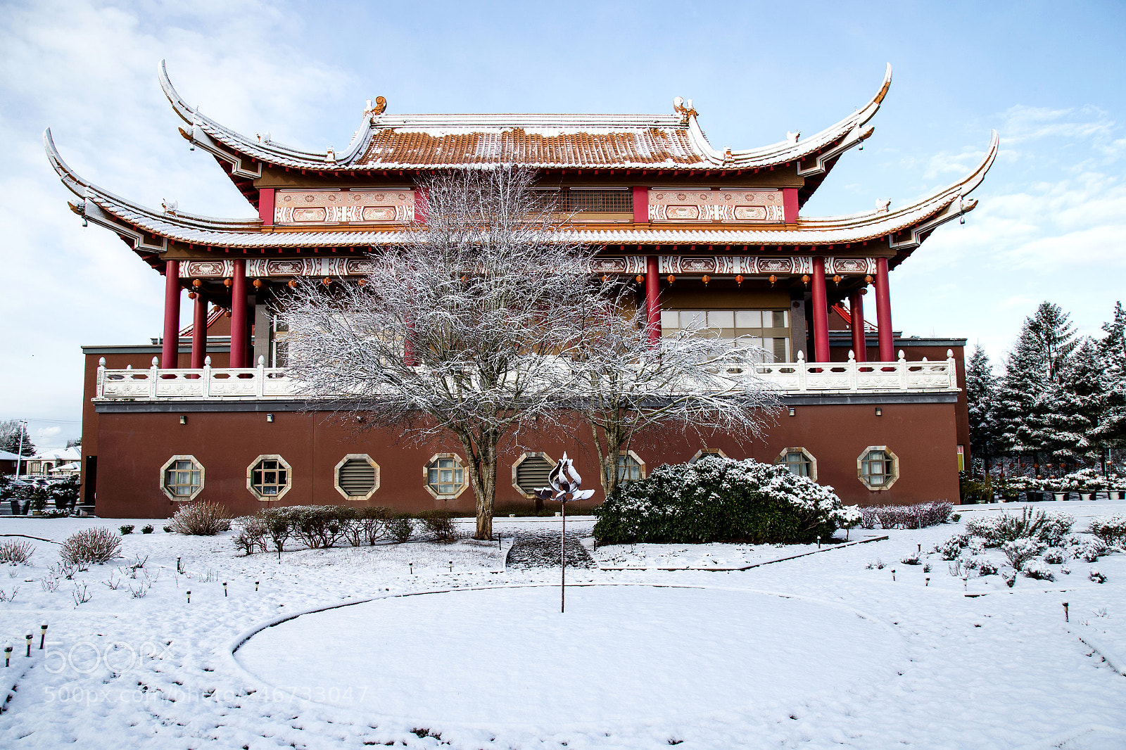 Canon EOS-1D X sample photo. 春雪 photography