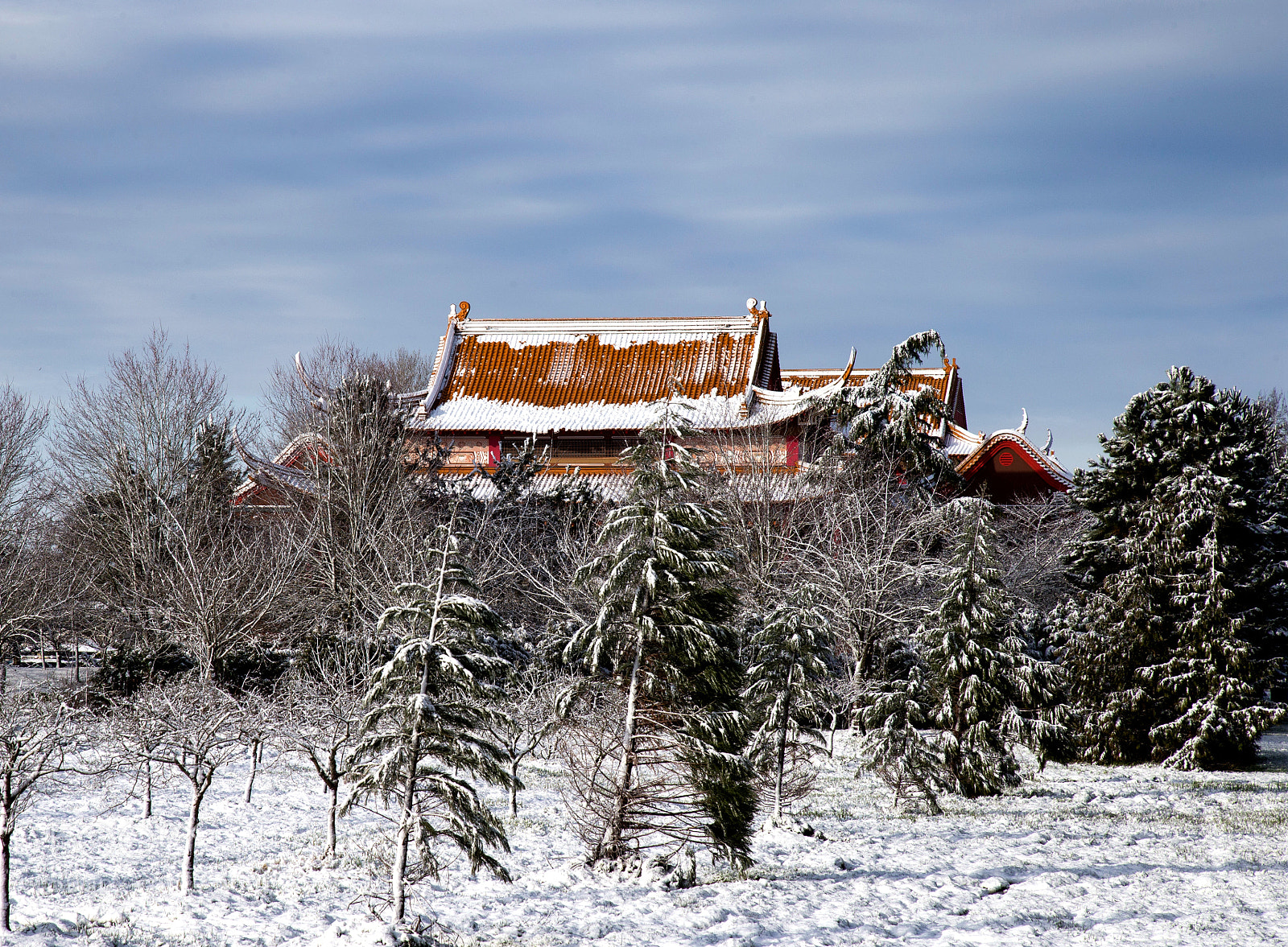 Canon EOS-1D X sample photo. 春雪 photography