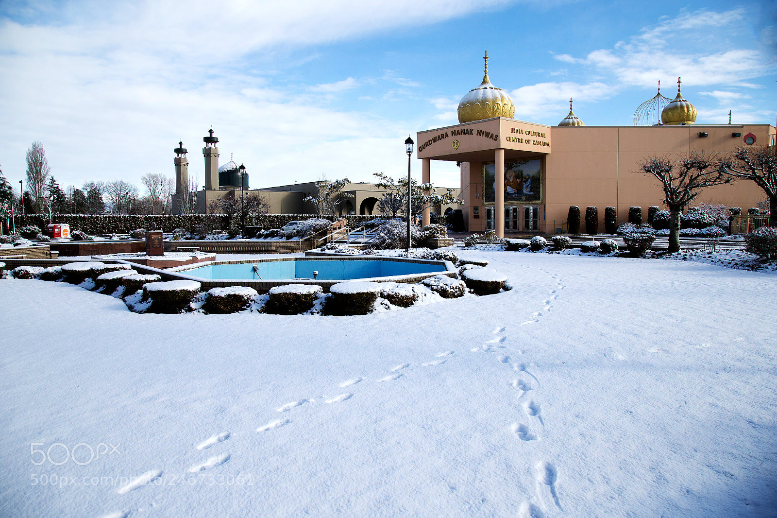 Canon EOS-1D X sample photo. 春雪 photography