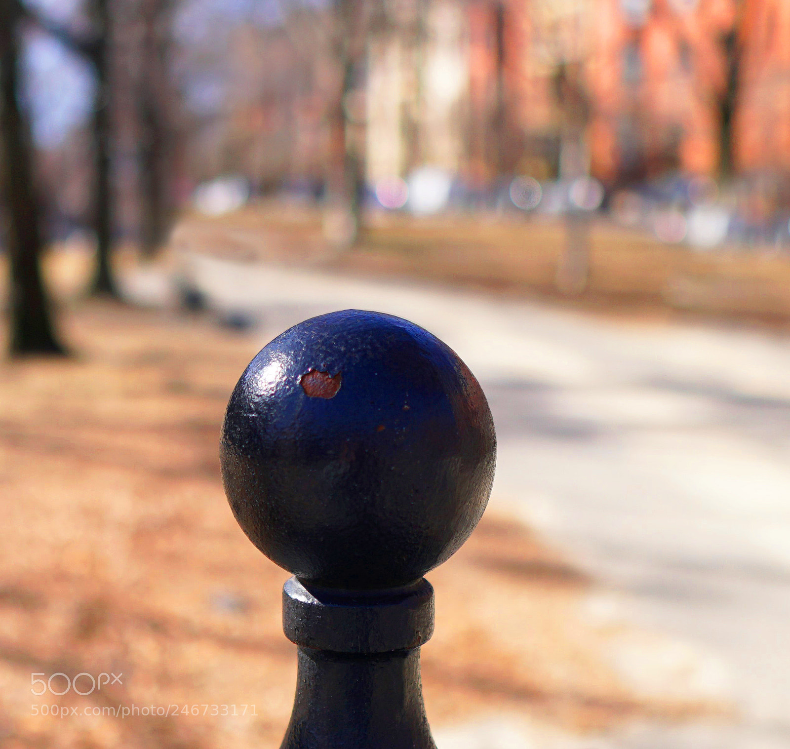 Sony a6500 sample photo. Needs a touch up photography