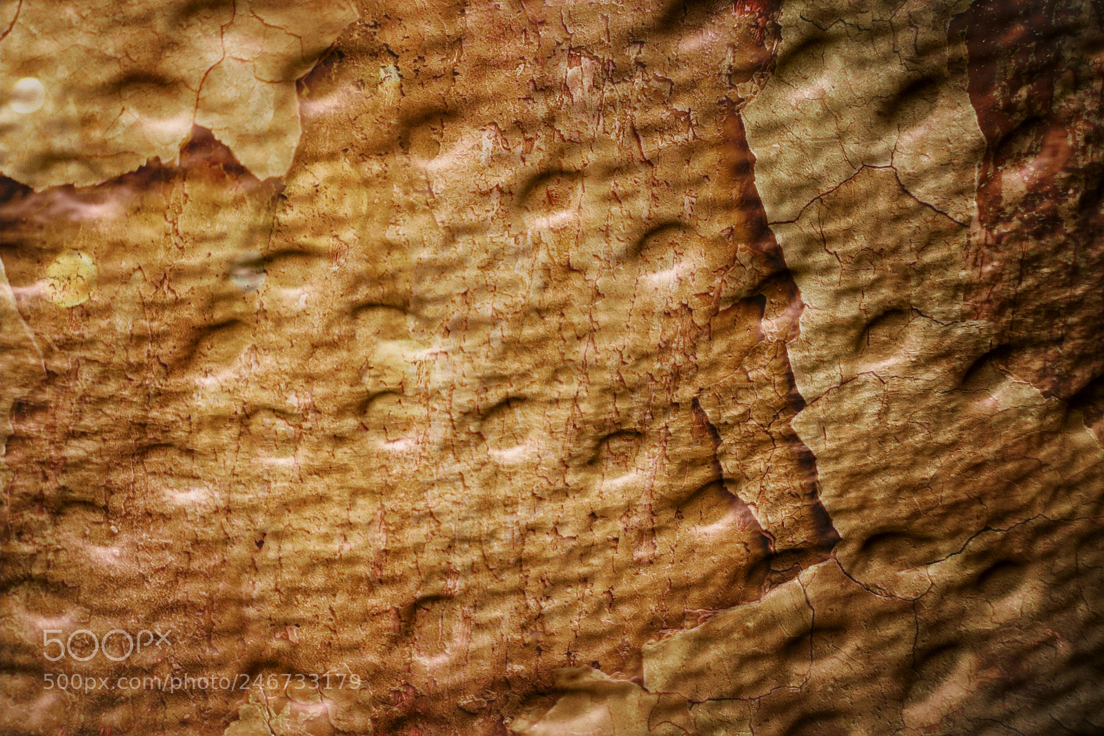 Sony a7R II sample photo. Textured paper towel photography