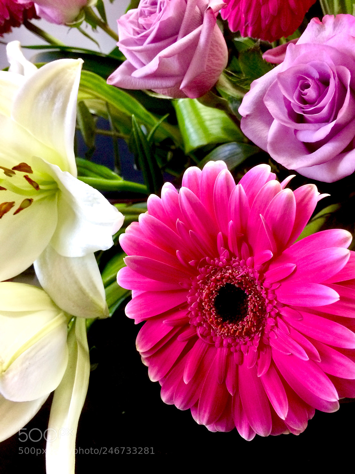 Apple iPhone 5s sample photo. Flowers photography