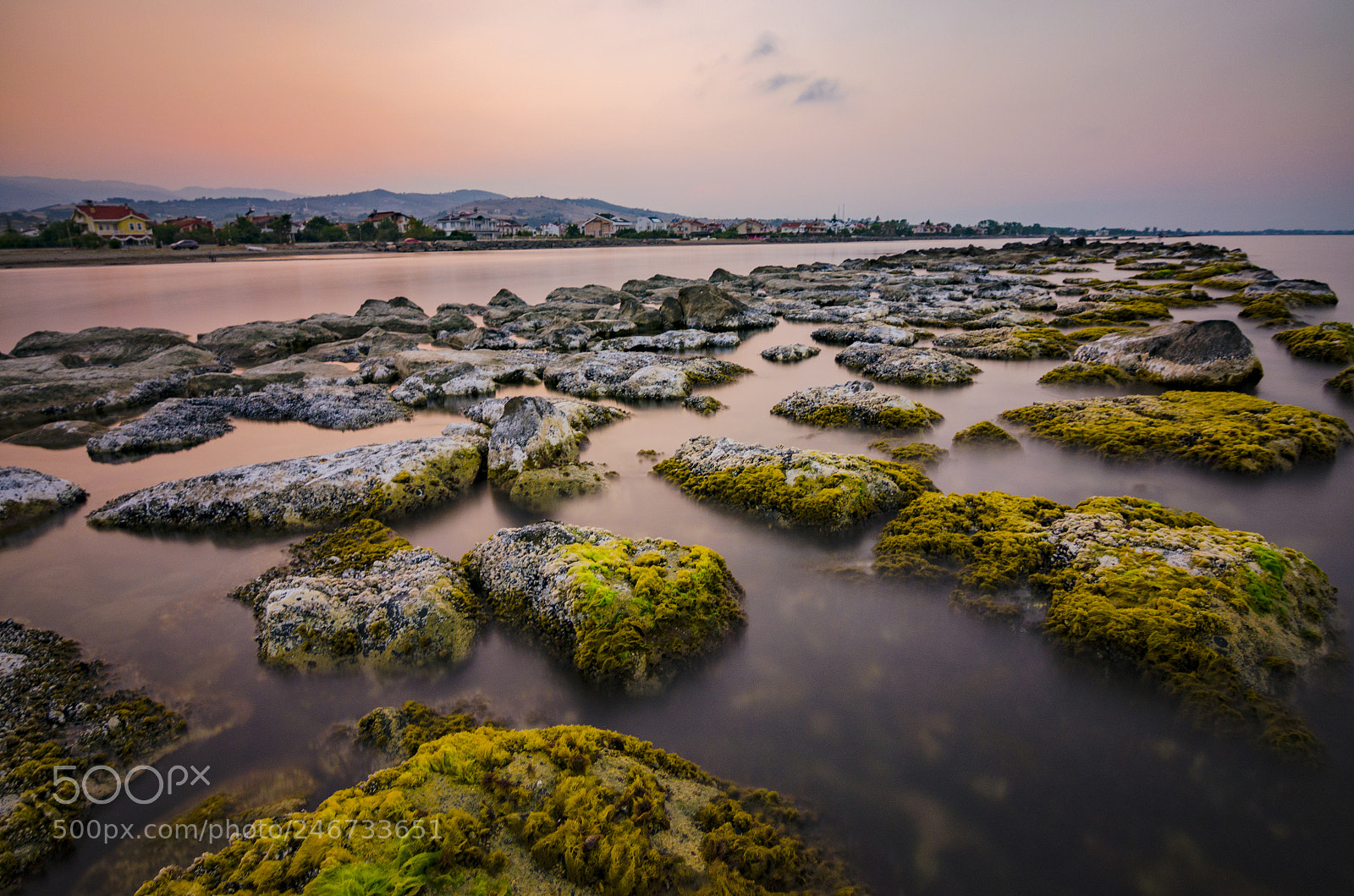 Nikon D5100 sample photo. Engiz samsun photography