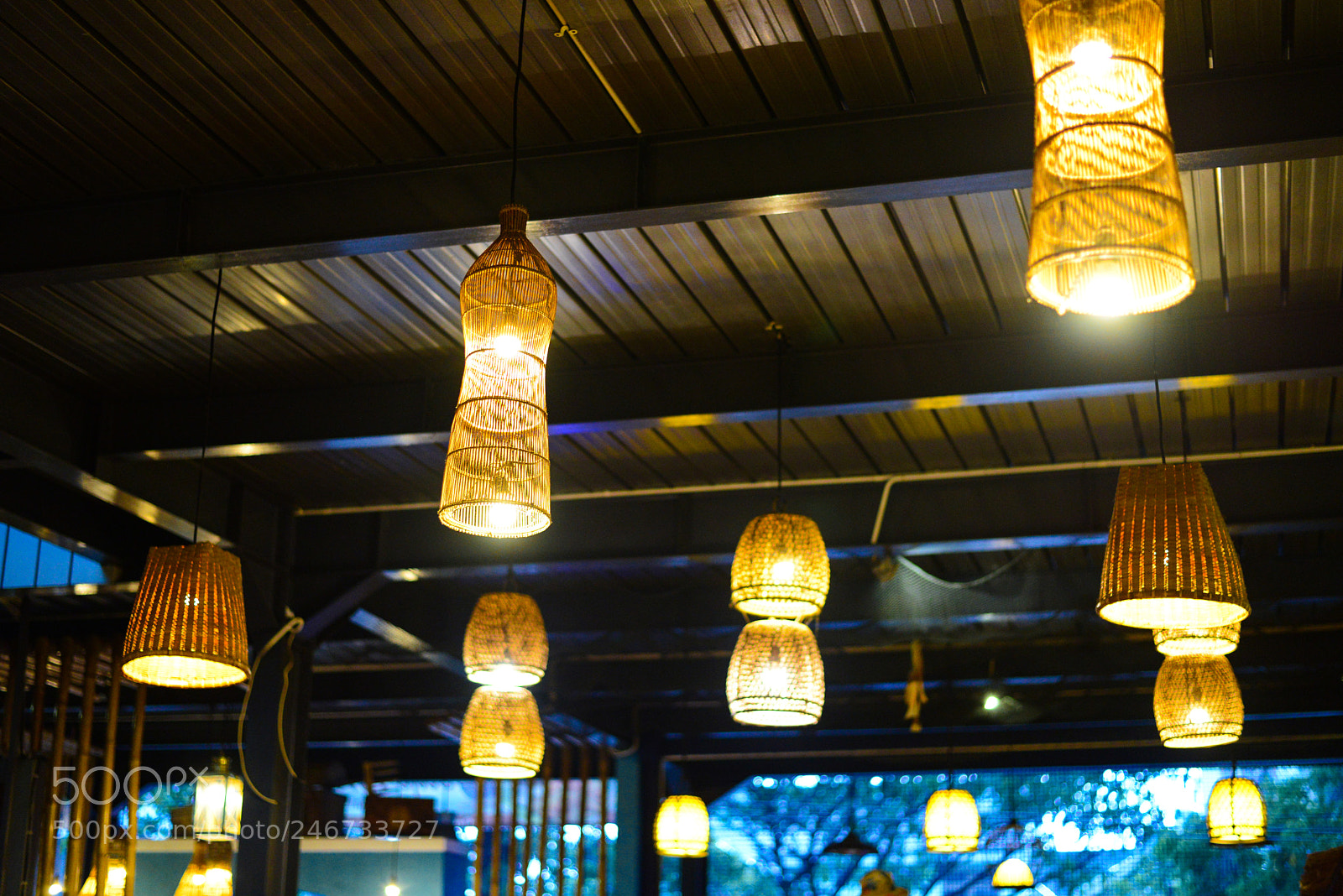 Nikon D600 sample photo. Lampion lights photography