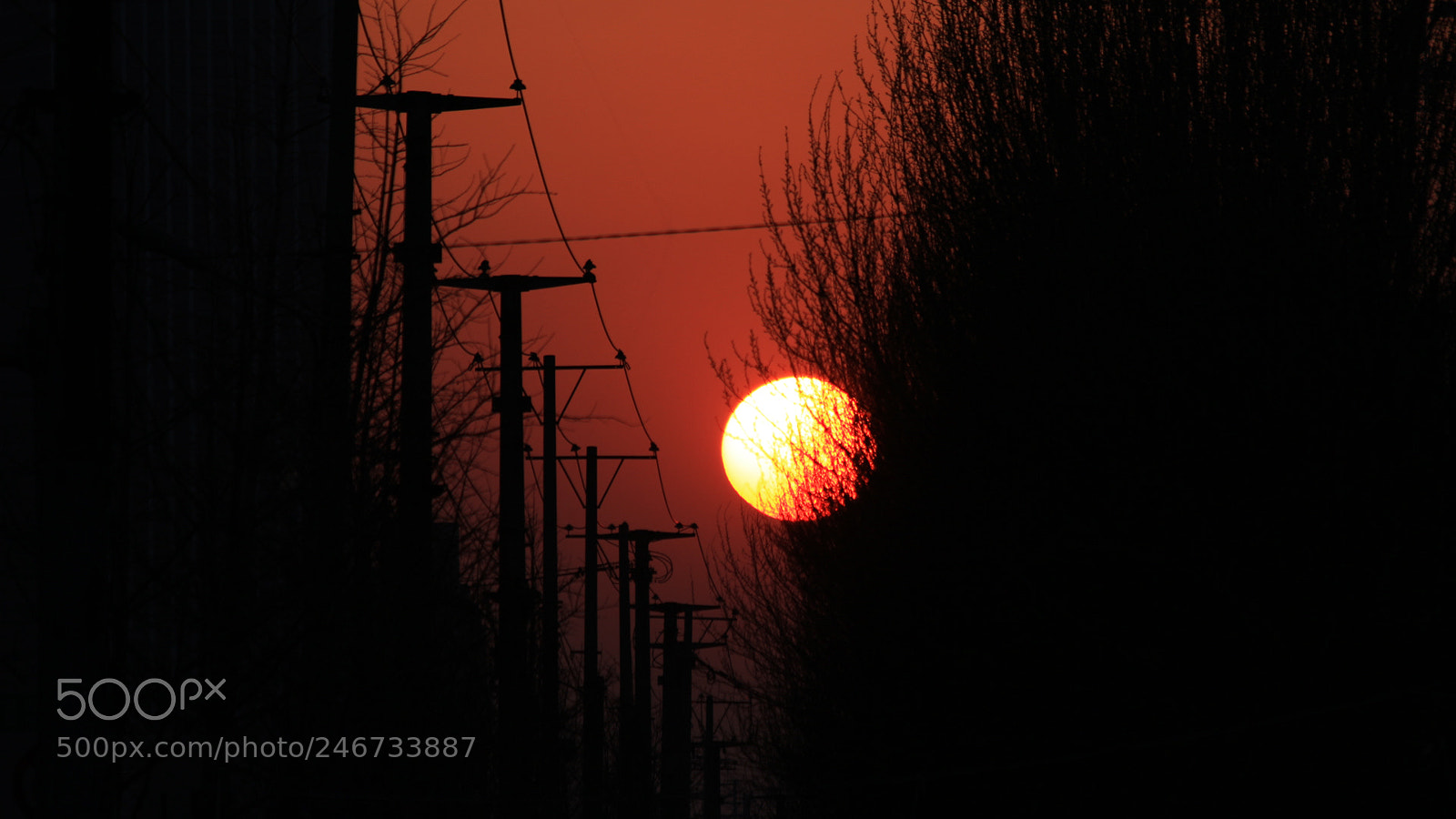 Canon EOS 700D (EOS Rebel T5i / EOS Kiss X7i) sample photo. Sun photography