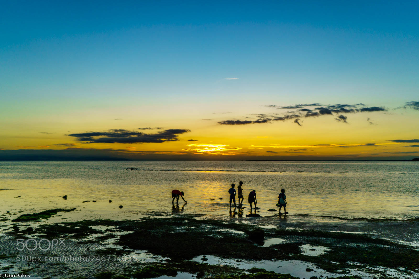 Sony a6300 sample photo. Shell collectors photography